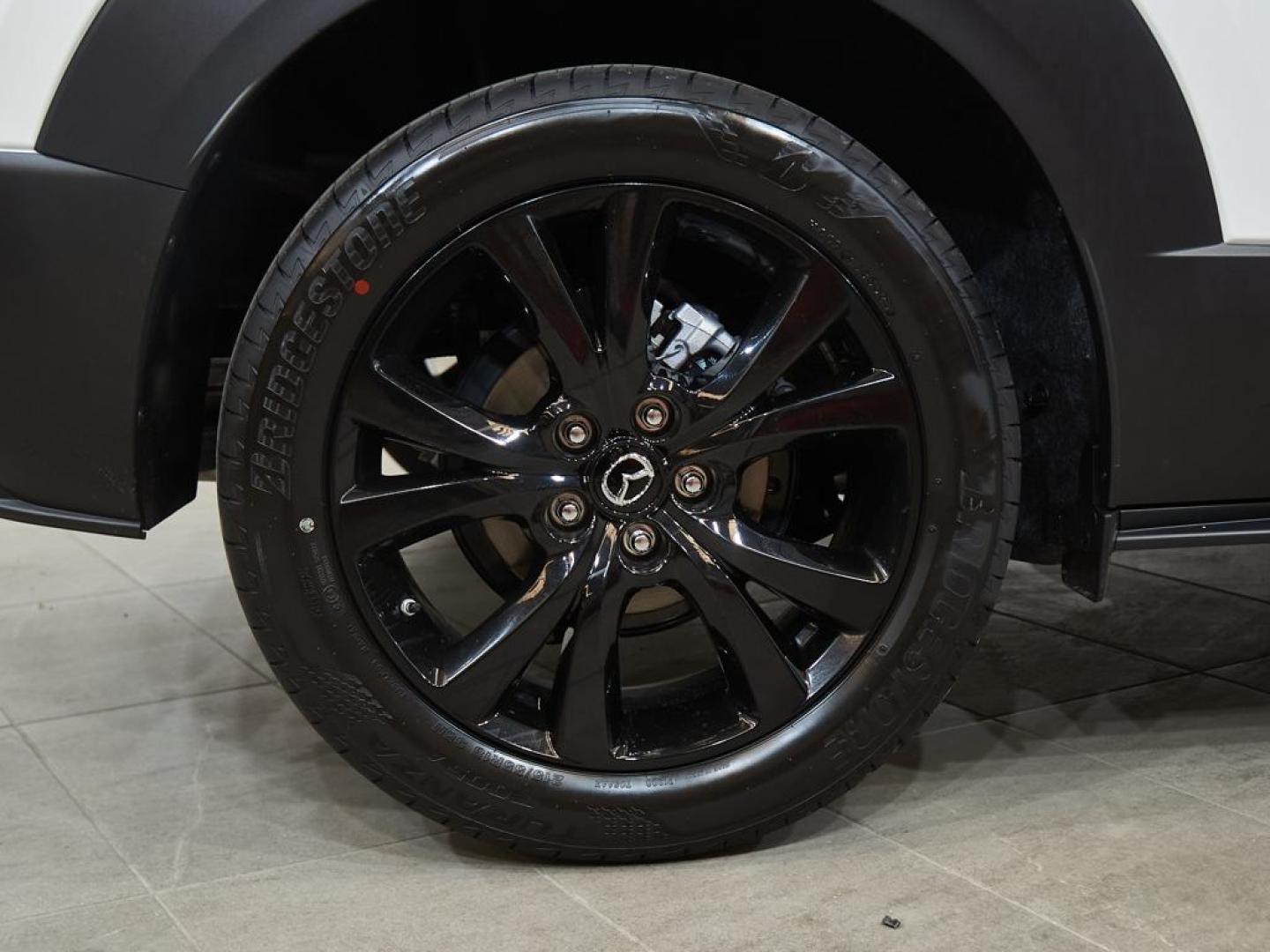 Mazda CX-30 2025 2.5L E-SKYACTIV G MHEV 103KW (140CV) 6MT FWD HOMURA