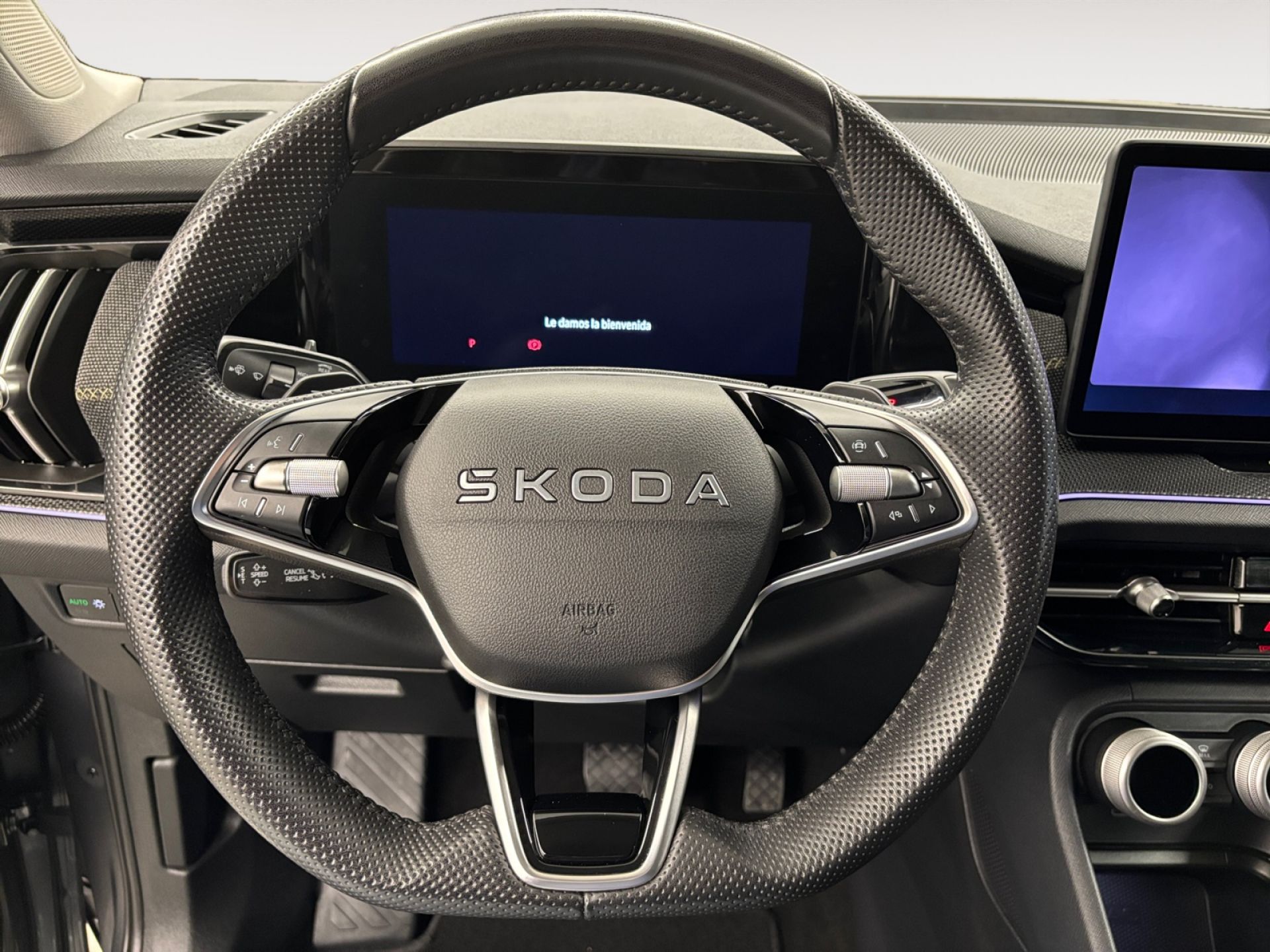 Skoda Kodiaq 1.5 TSI 110KW DSG m-HEV Selection