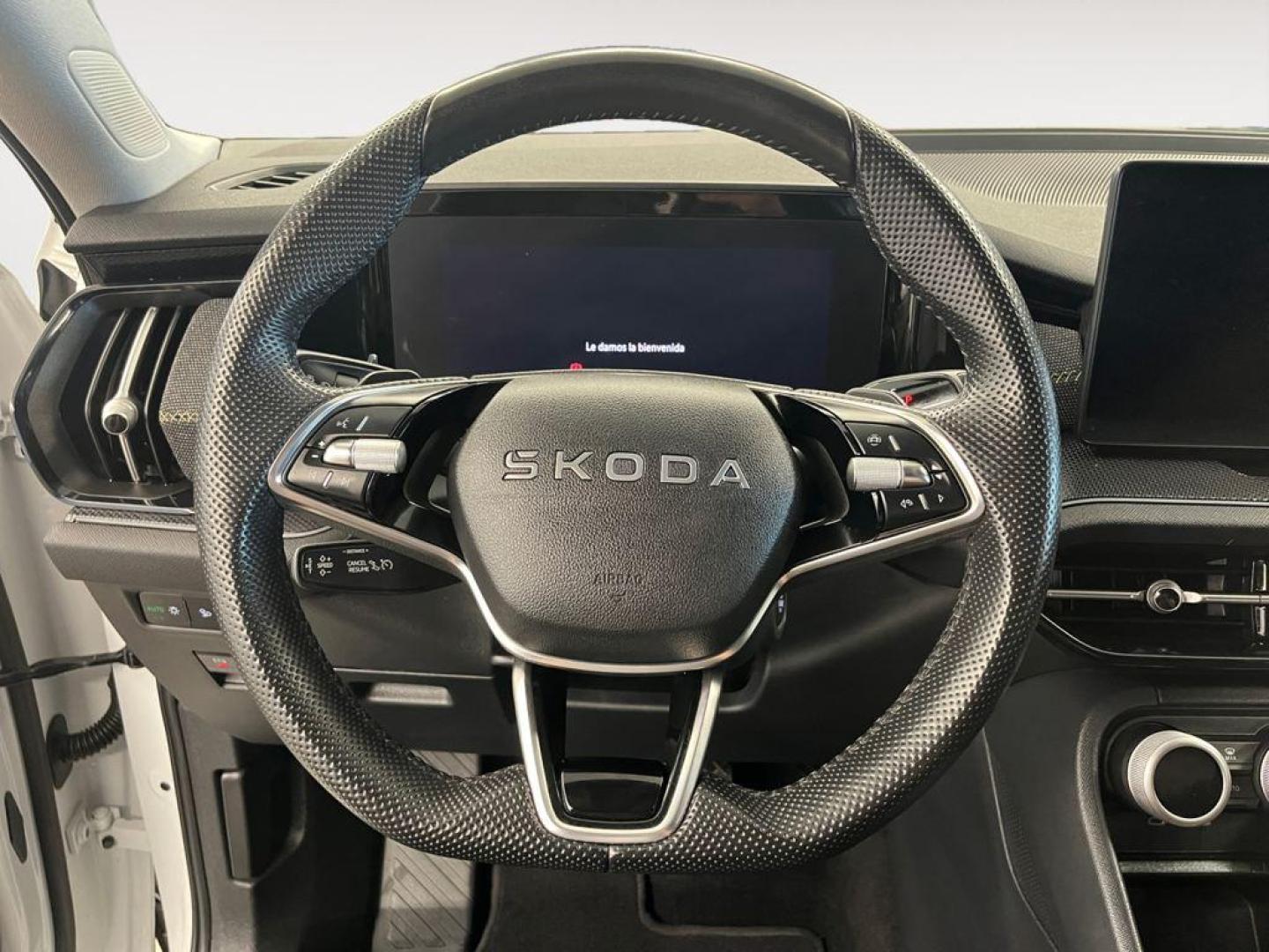 Skoda Kodiaq 1.5 TSI m-HEV Selection DSG 110 kW (150 CV)