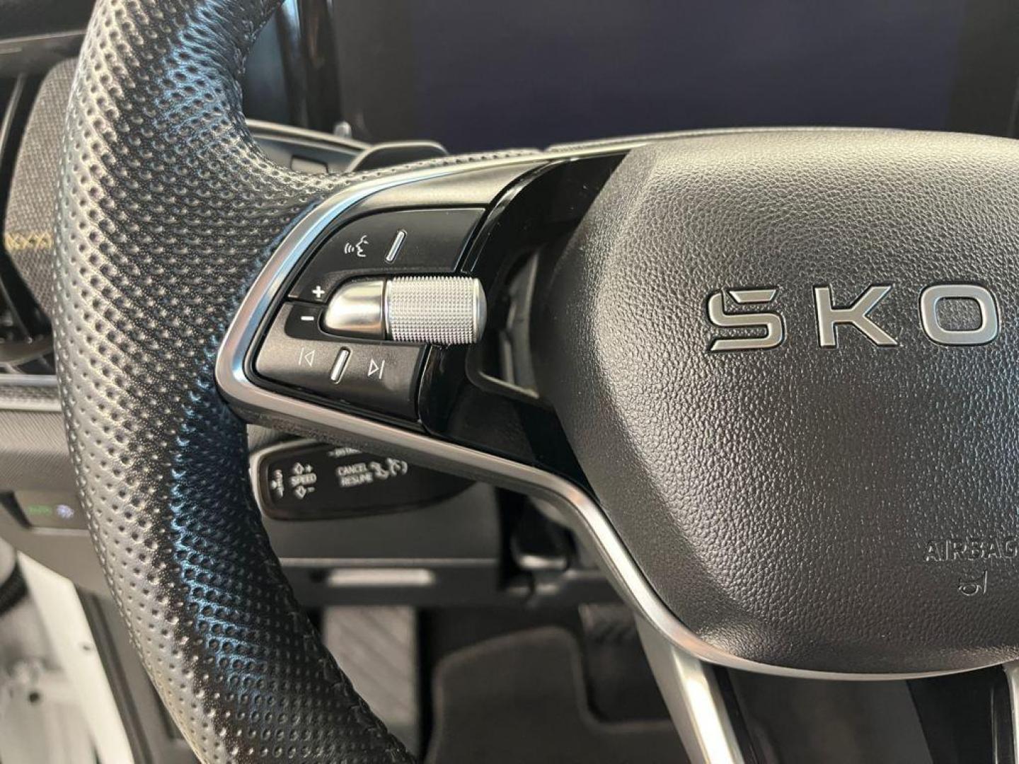 Skoda Kodiaq 1.5 TSI m-HEV Selection DSG 110 kW (150 CV)