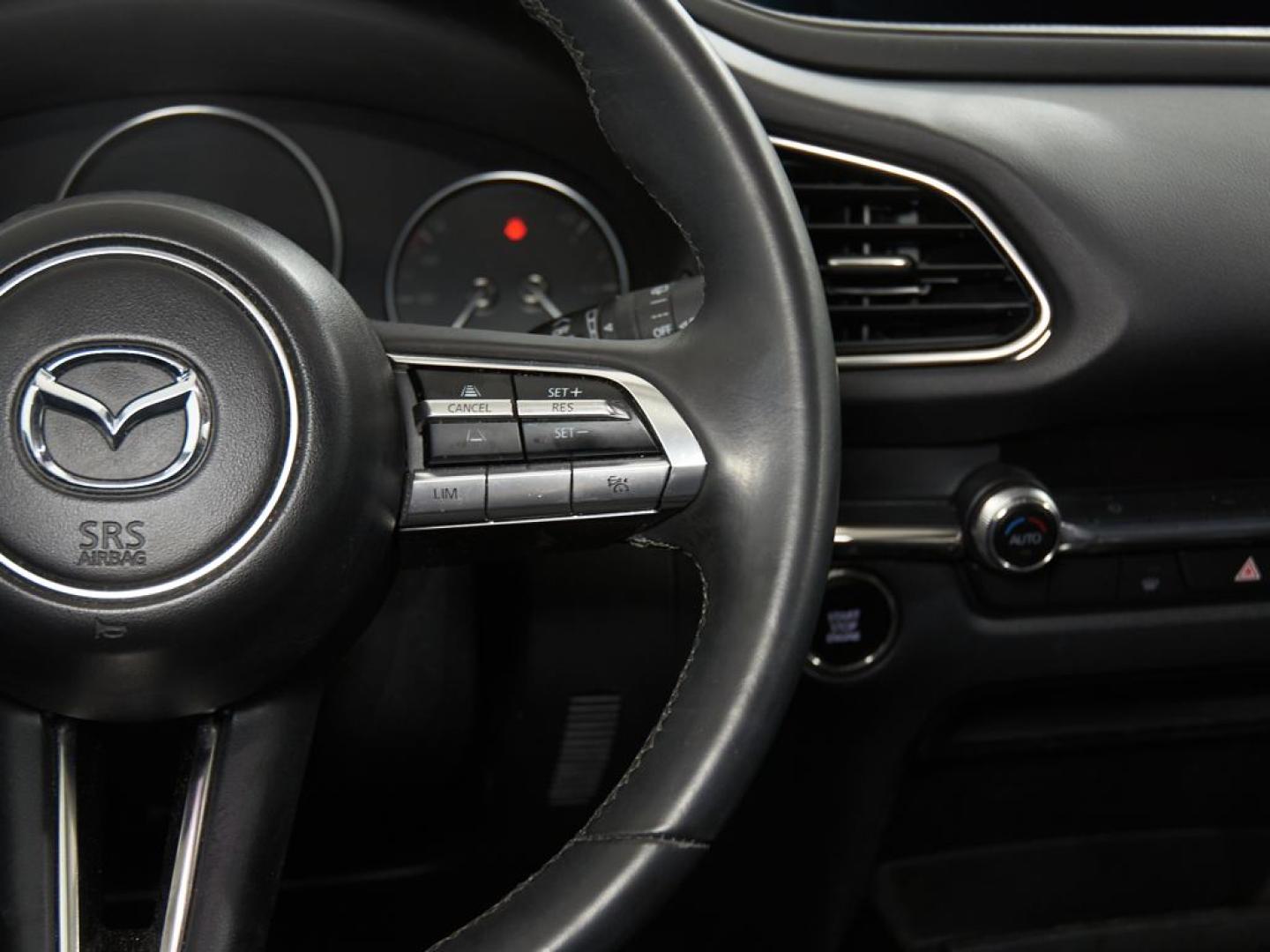 Mazda CX-30 2.0L e-SKYACTIV G EX-L 122 AU