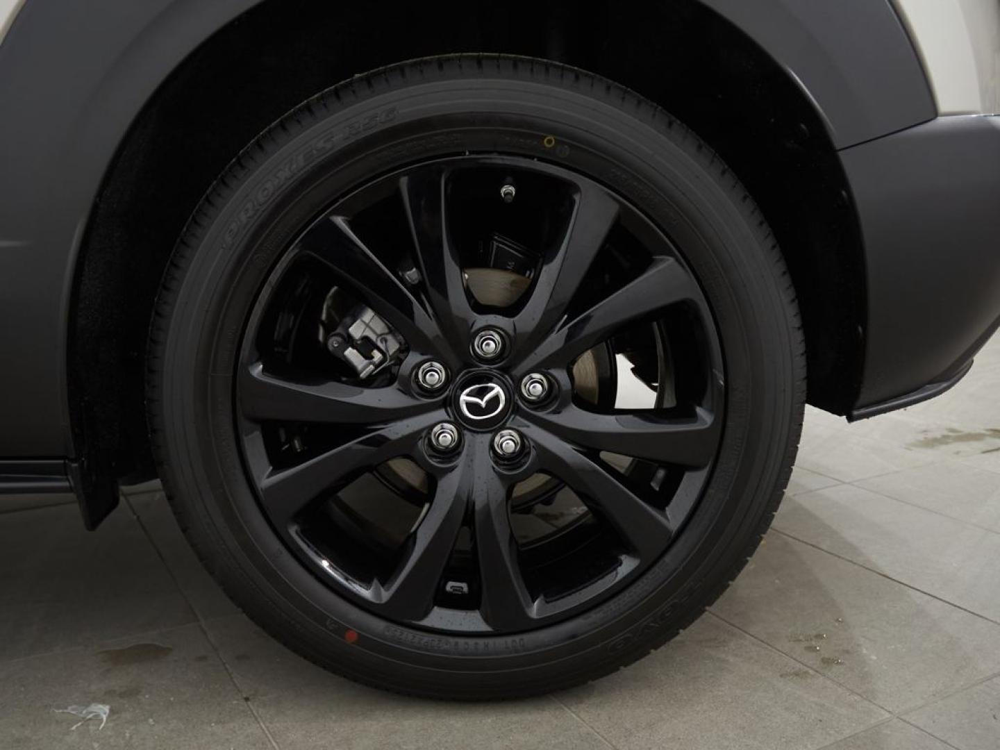 Mazda CX-30 2025 2.5L E-SKYACTIV G MHEV 103KW (140CV) 6AT FWD NAGISA
