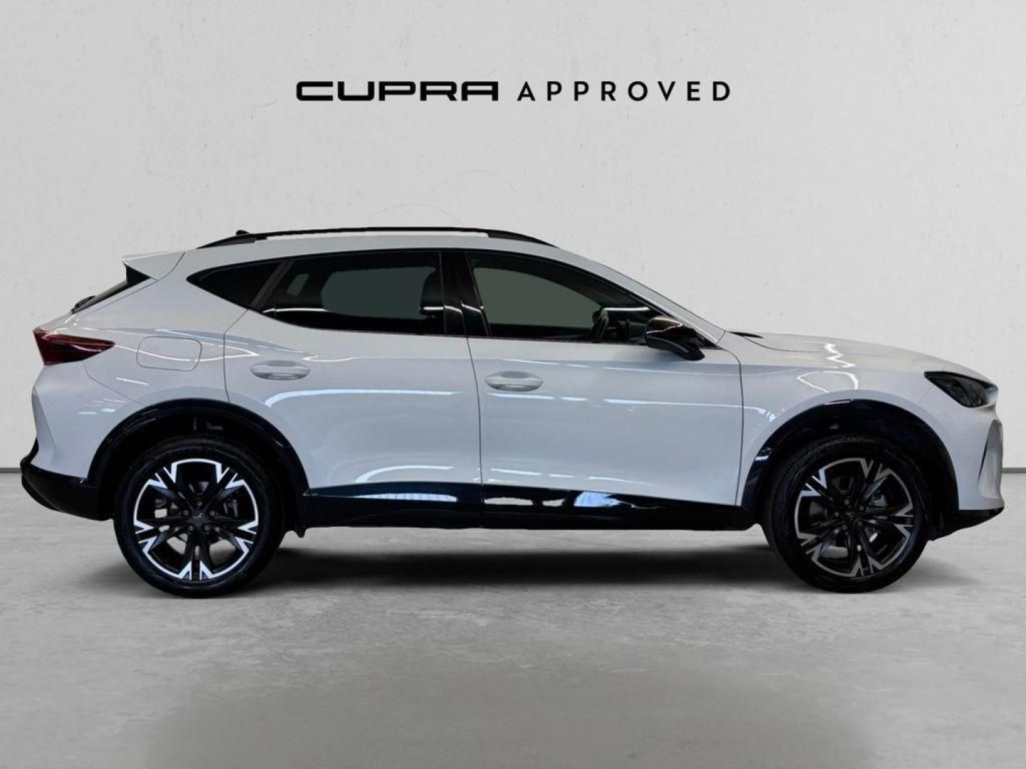 Cupra Formentor 2.0 TDI 110 kW (150 CV) DSG