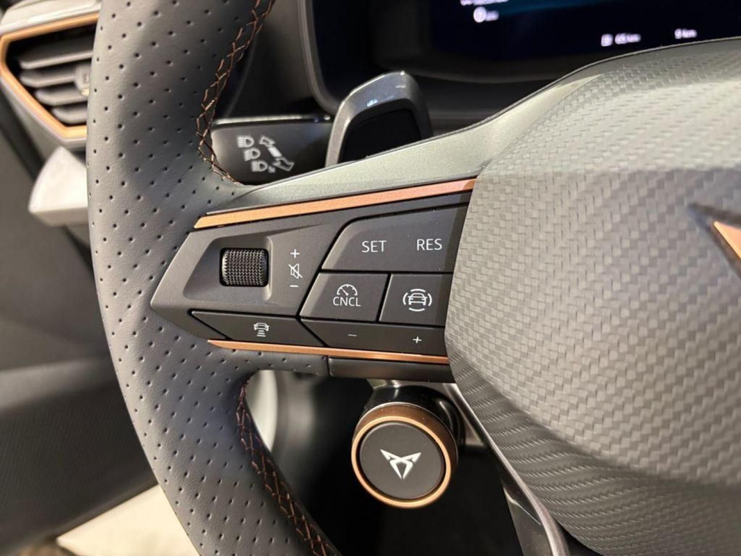 Cupra Formentor 2.0 TDI 110 kW (150 CV) DSG