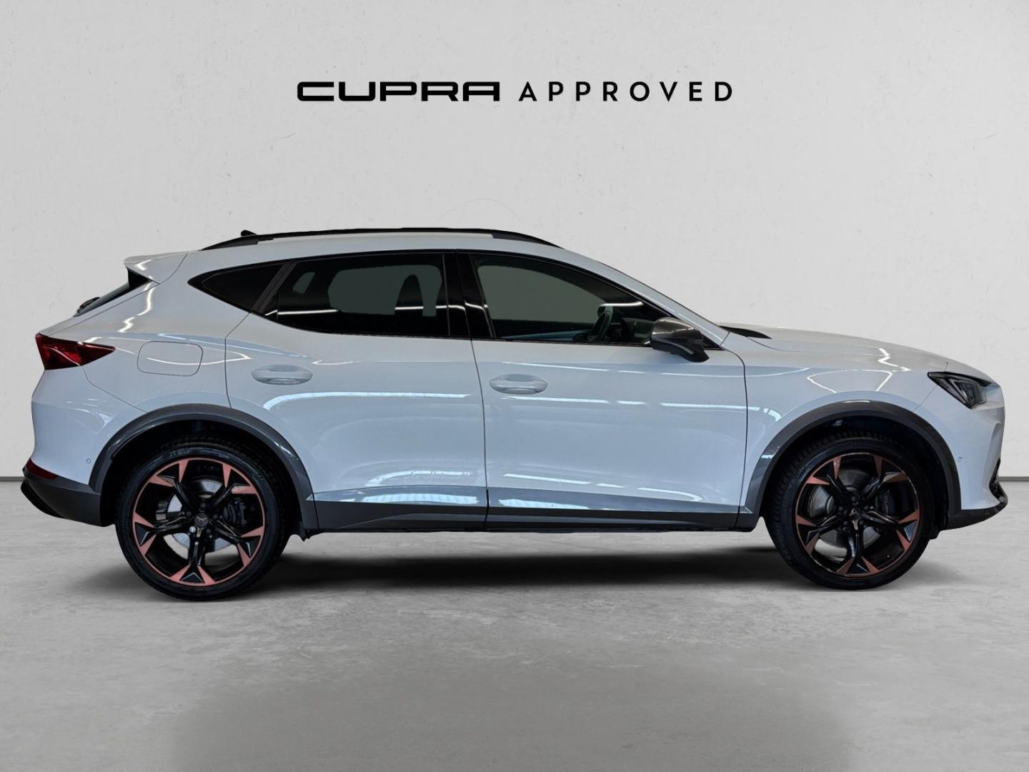 Cupra Formentor 1.4 e-Hybrid VZ DSG 180 kW (245 CV)