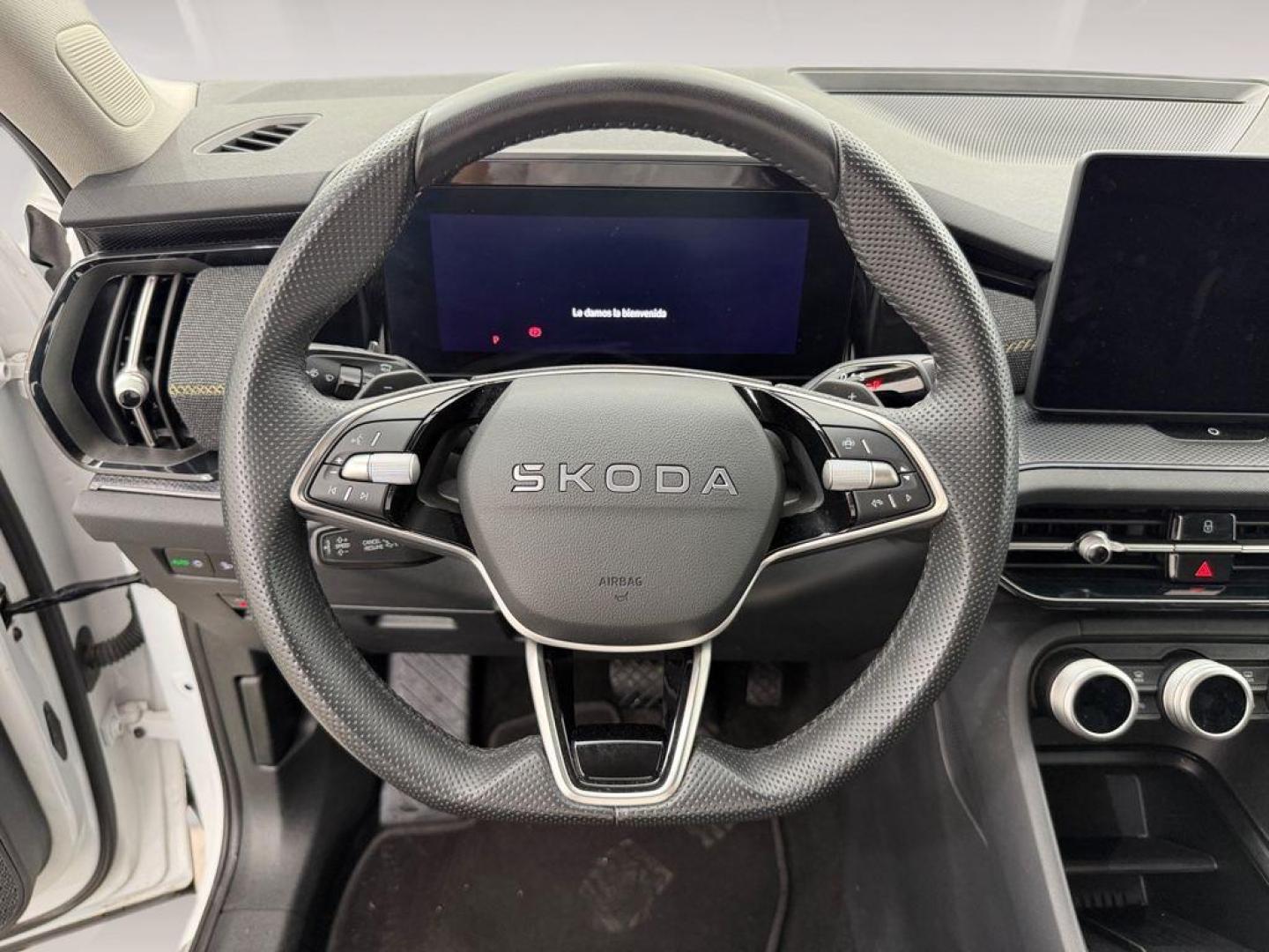 Skoda Kodiaq 1.5 TSI m-HEV Selection DSG 110 kW (150 CV)