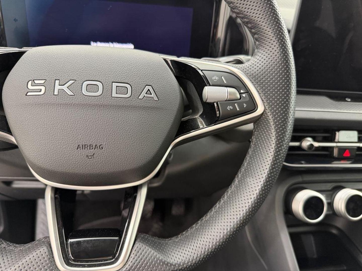 Skoda Kodiaq 1.5 TSI m-HEV Selection DSG 110 kW (150 CV)