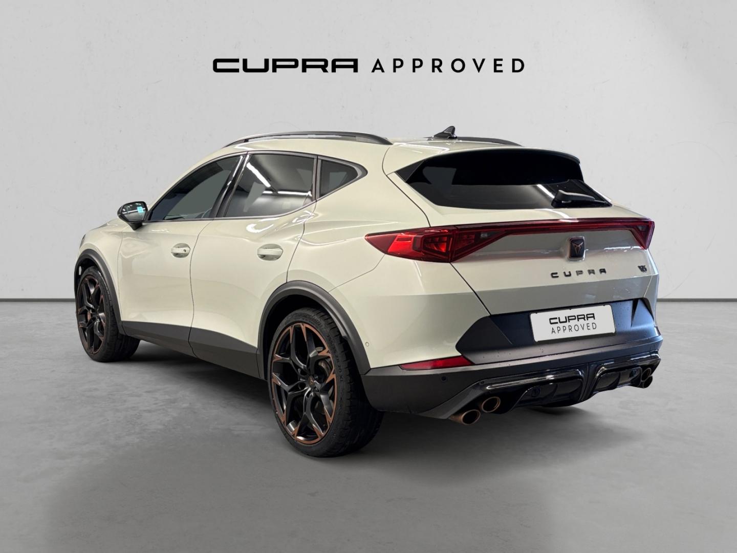 Cupra Formentor 2.5 TSI 287kW (390 CV) VZ5 TG 4Drive DSG