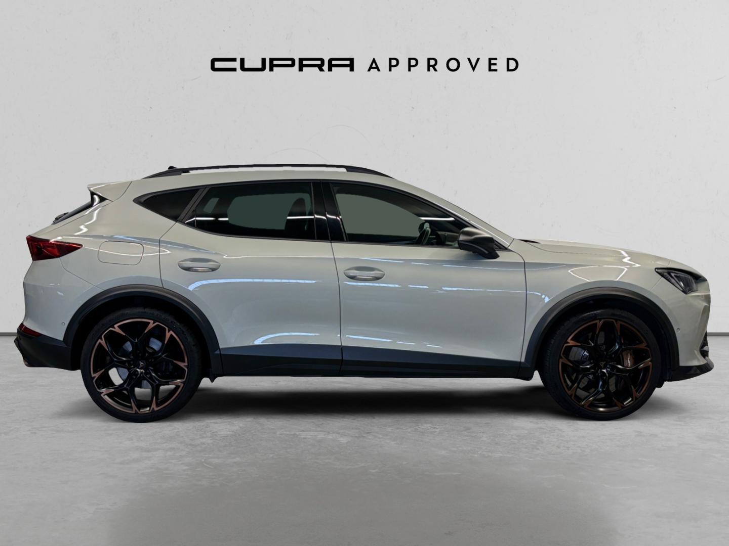 Cupra Formentor 2.5 TSI 287kW (390 CV) VZ5 TG 4Drive DSG
