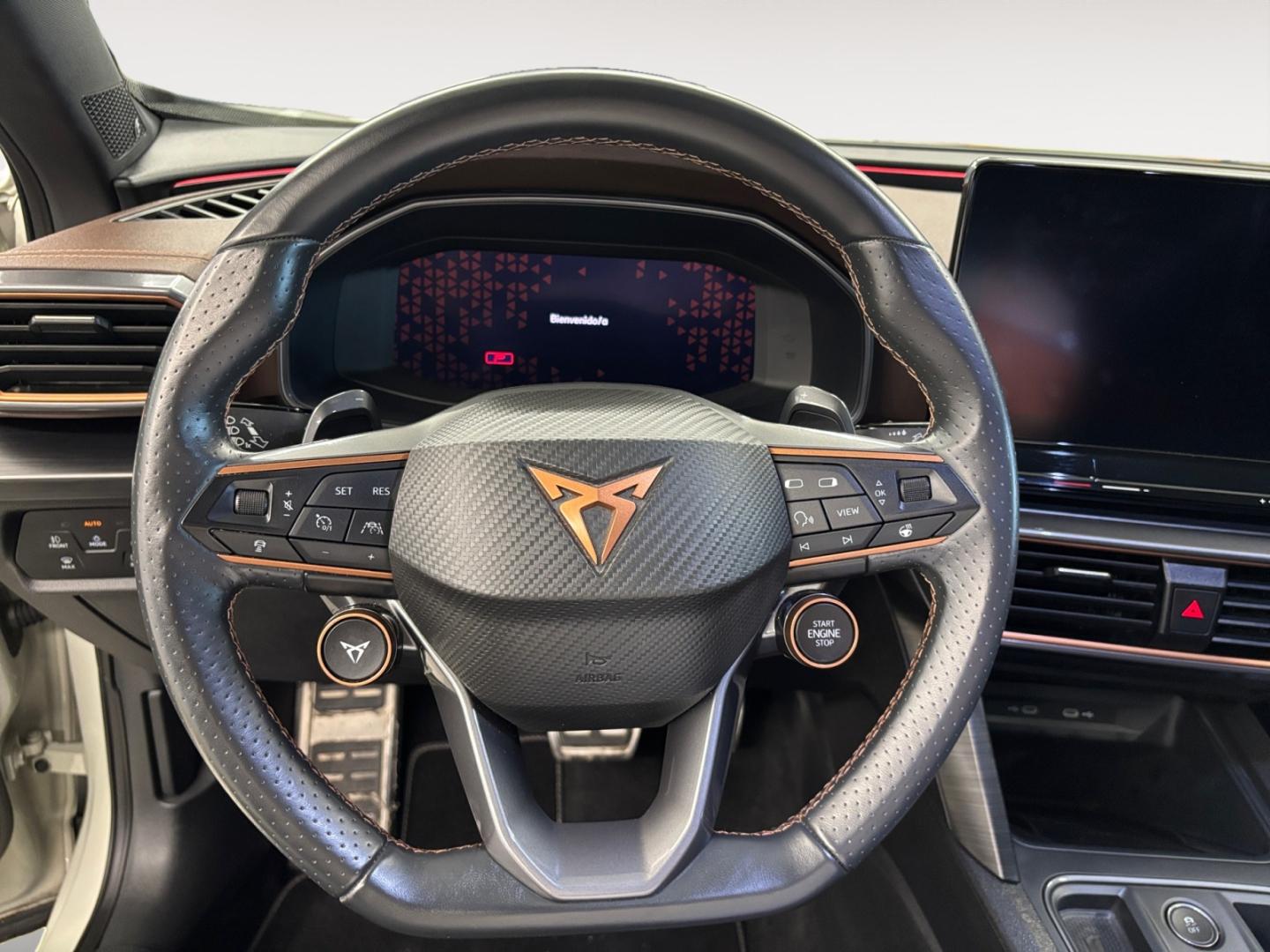 Cupra Formentor 2.5 TSI 287kW (390 CV) VZ5 TG 4Drive DSG