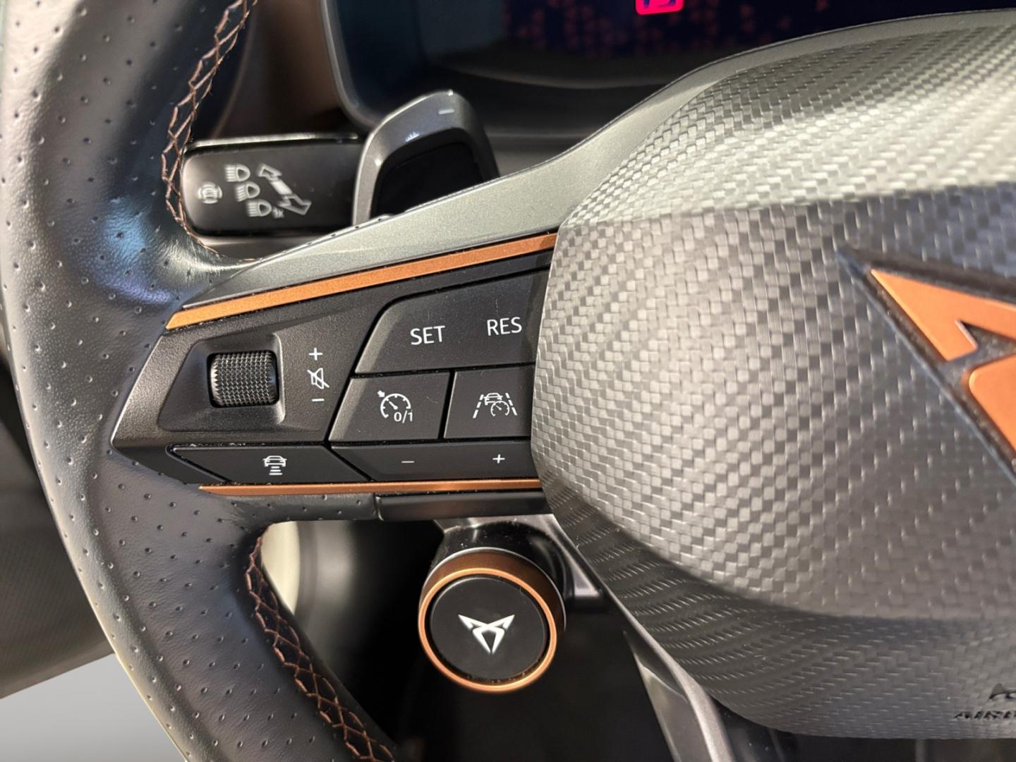 Cupra Formentor 2.5 TSI 287kW (390 CV) VZ5 TG 4Drive DSG