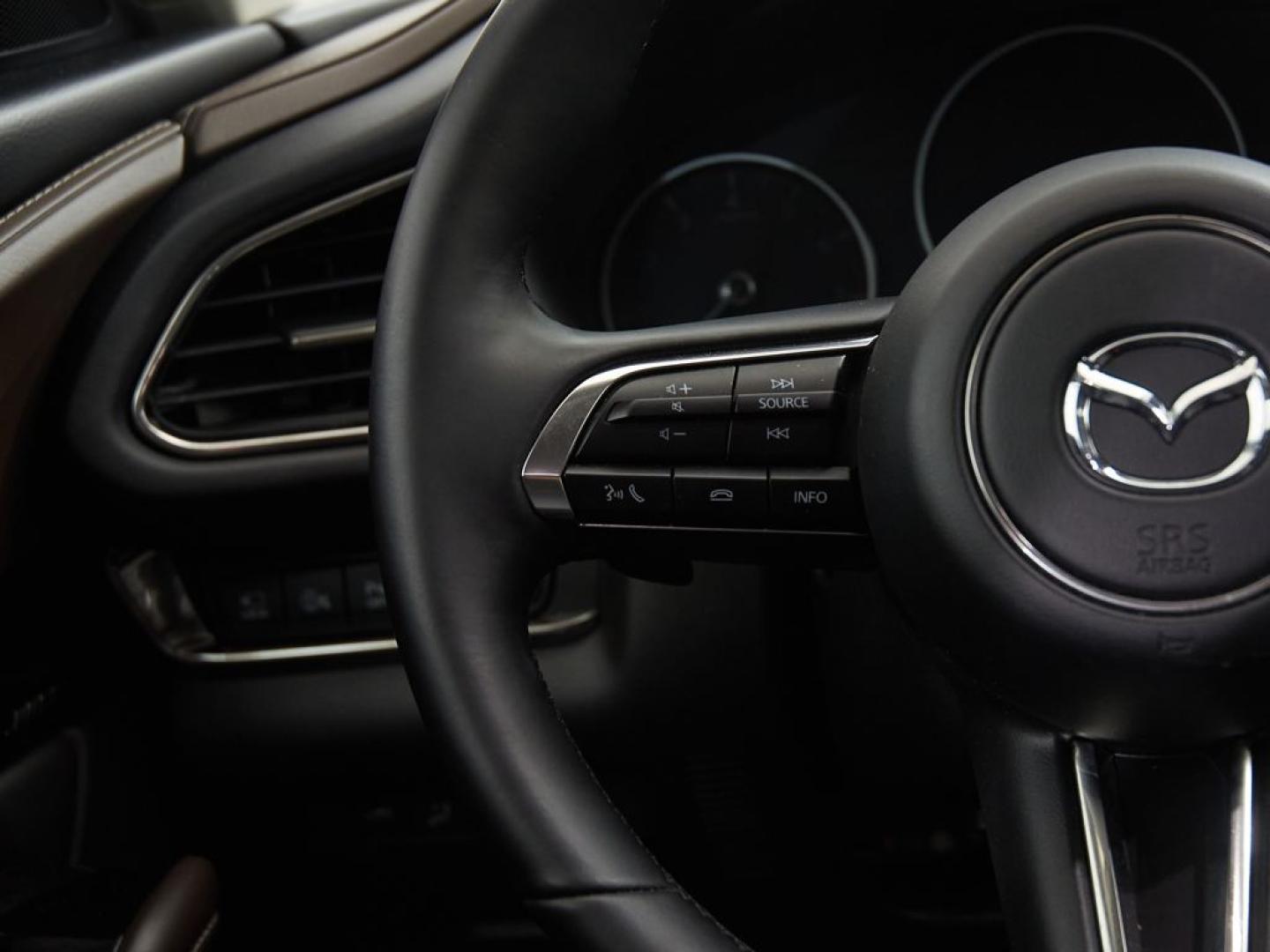 Mazda CX-30 2.5 e-Skyactiv-G Takumi BLOP FWD Aut. 103kW