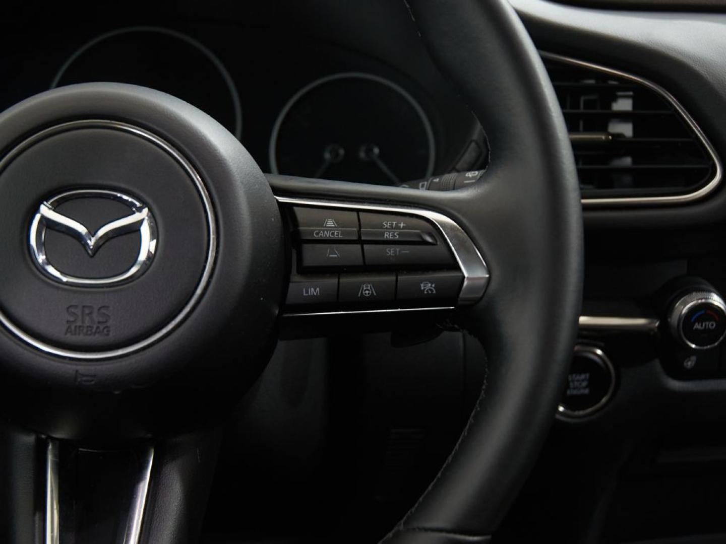 Mazda CX-30 2.5 e-Skyactiv-G Takumi BLOP FWD Aut. 103kW