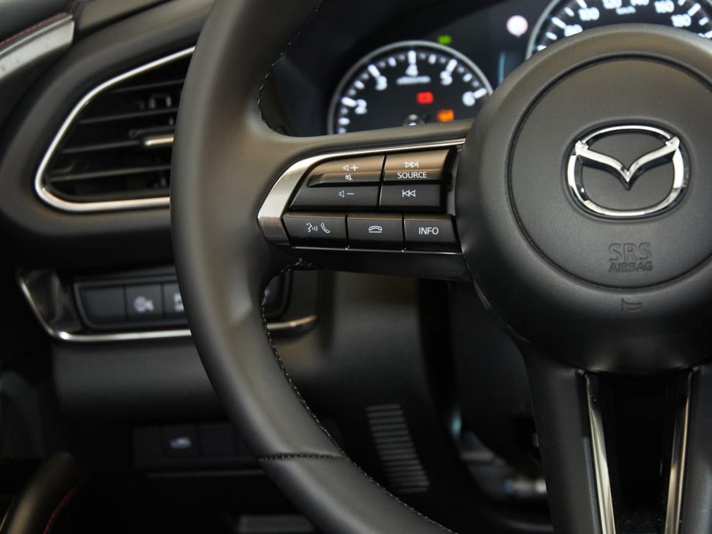 Mazda CX-30 2025 2.5L E-SKYACTIV G MHEV 103KW (140CV) 6MT FWD HOMURA