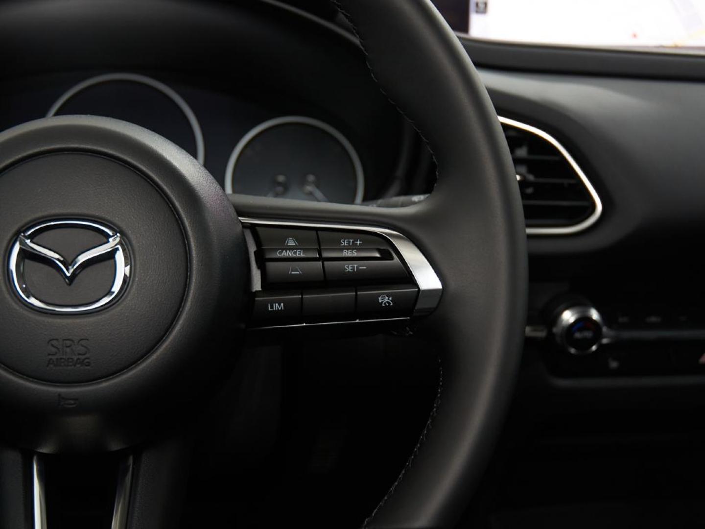 Mazda CX-30 2026 2.5L E-SKYACTIV G MHEV 103KW (140CV) 6AT FWD HOMURA
