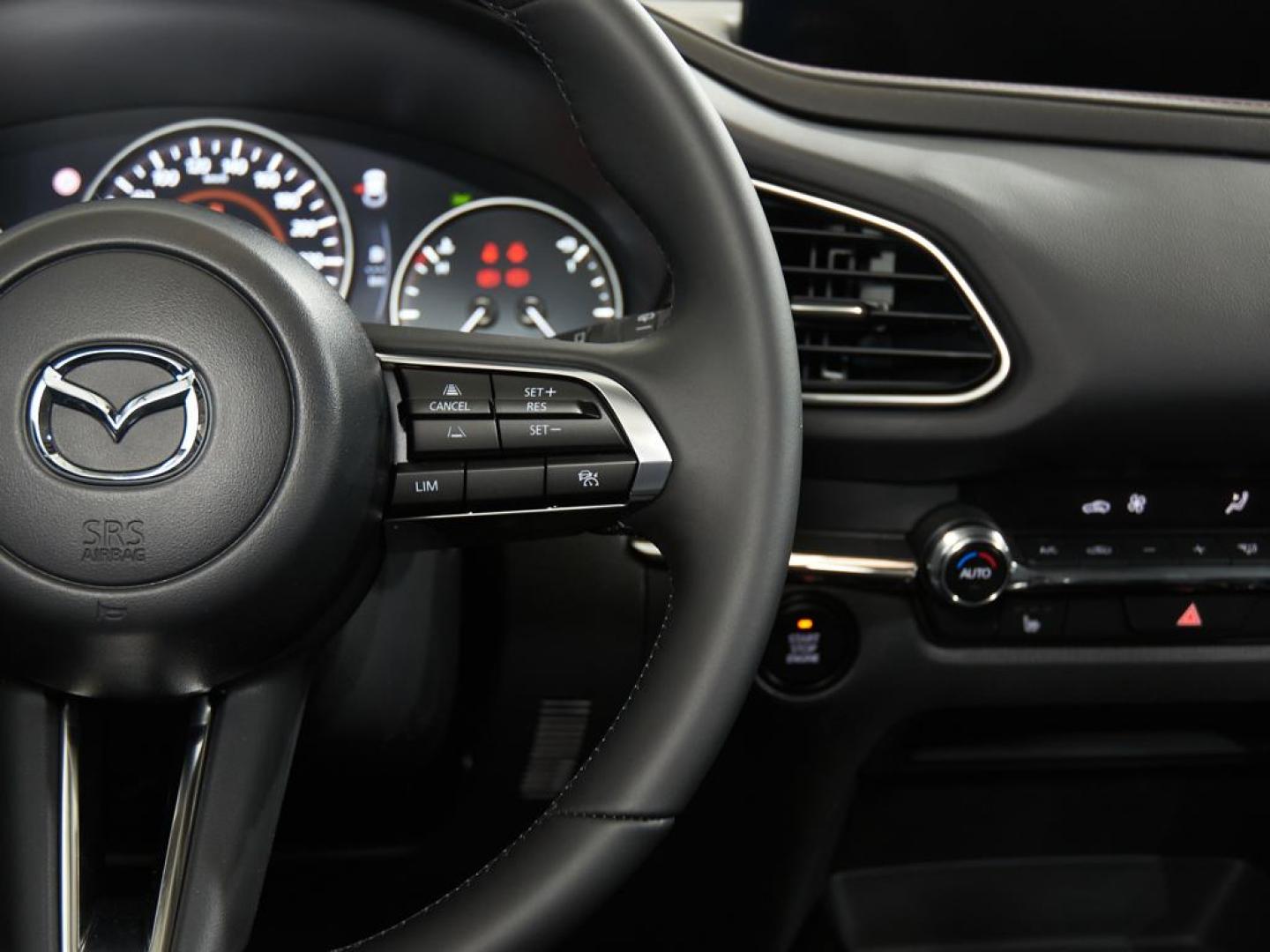 Mazda CX-30 2026 2.5L E-SKYACTIV G MHEV 103KW (140CV) 6MT FWD HOMURA