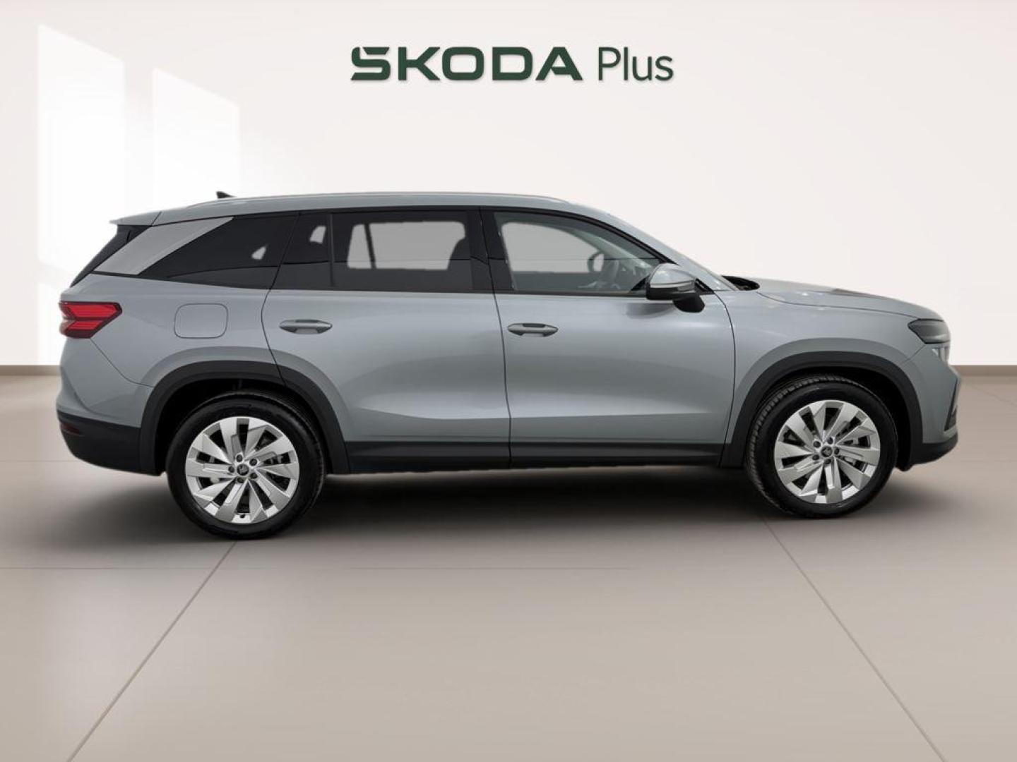 Skoda Kodiaq 2.0 TDI Selection DSG 110 kW (150 CV)