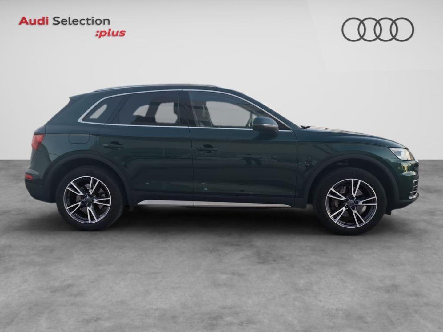 Audi Q5 Design 2.0 TDI quattro 120 kW (163 CV) S tronic