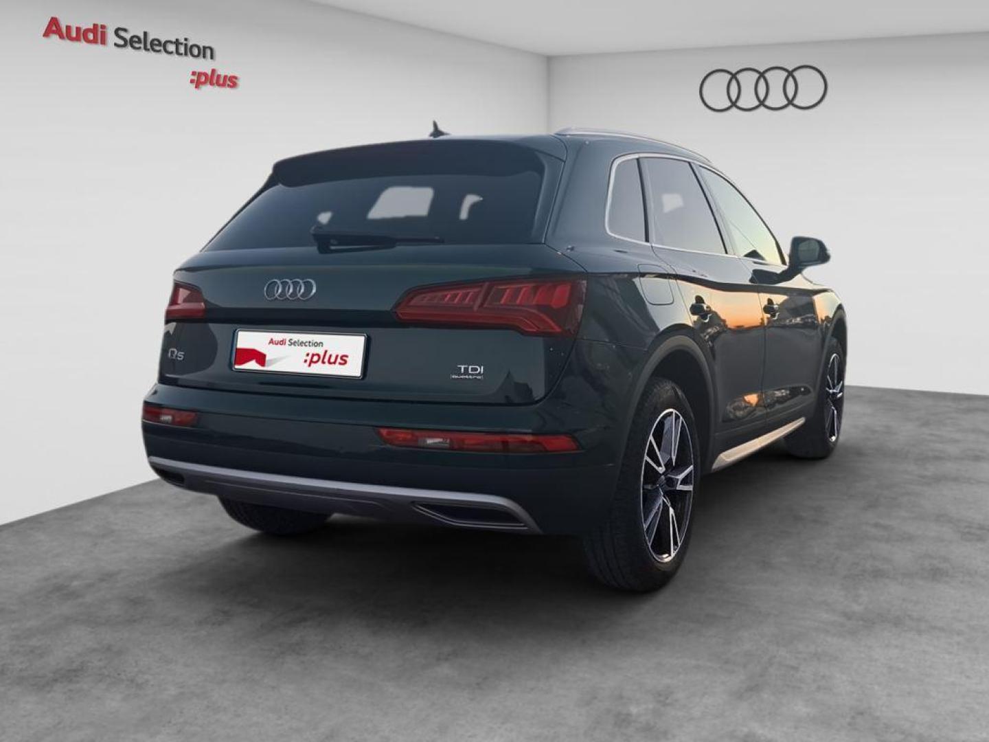 Audi Q5 Design 2.0 TDI quattro 120 kW (163 CV) S tronic