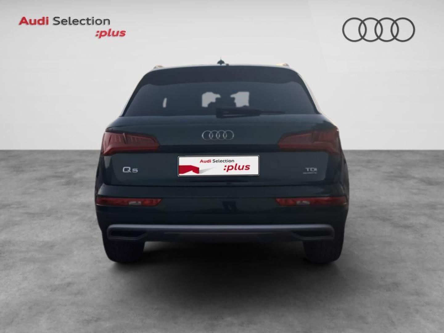 Audi Q5 Design 2.0 TDI quattro 120 kW (163 CV) S tronic