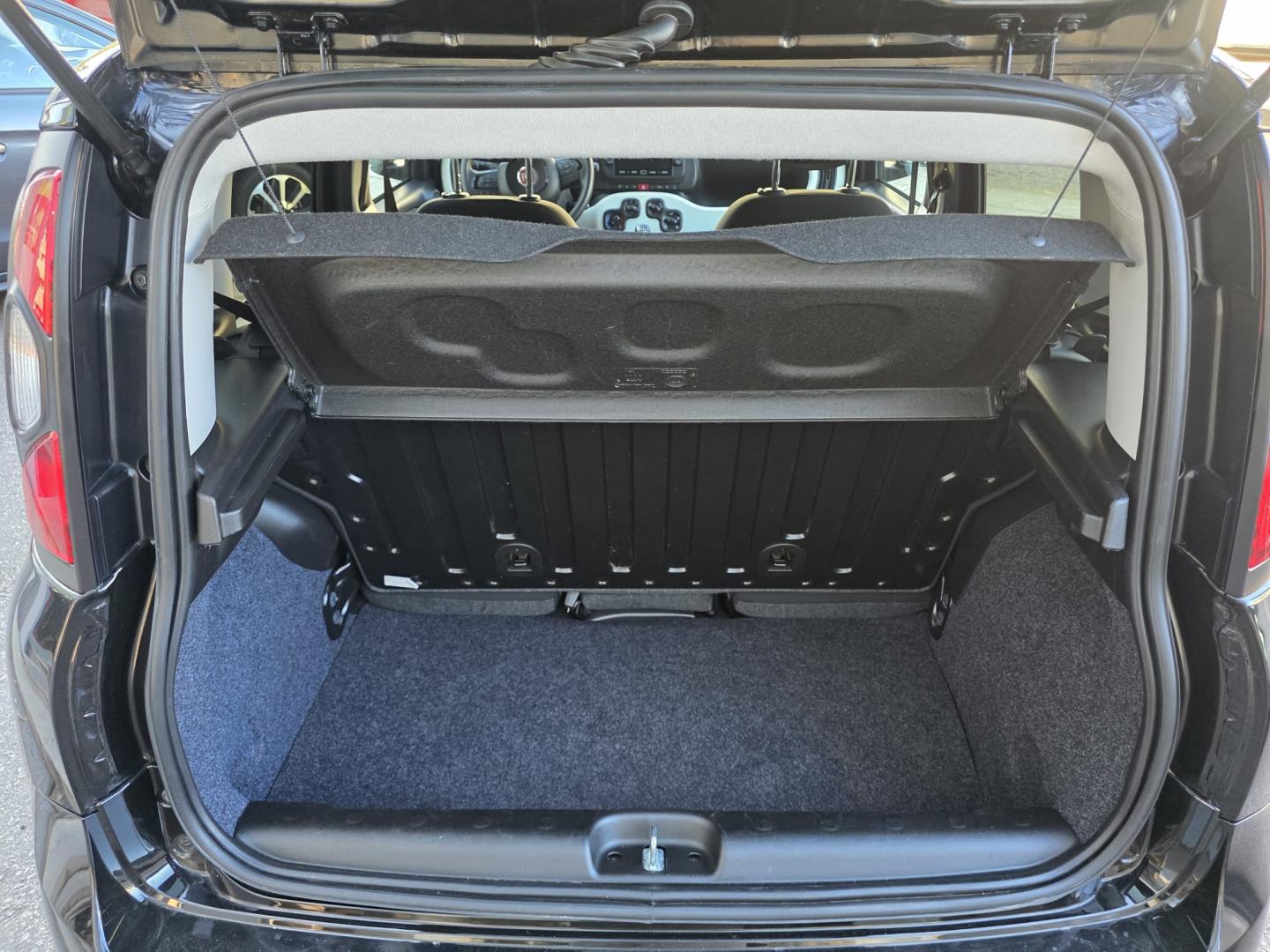 Fiat Panda 1.0 Hybrid 70cv PANDINA