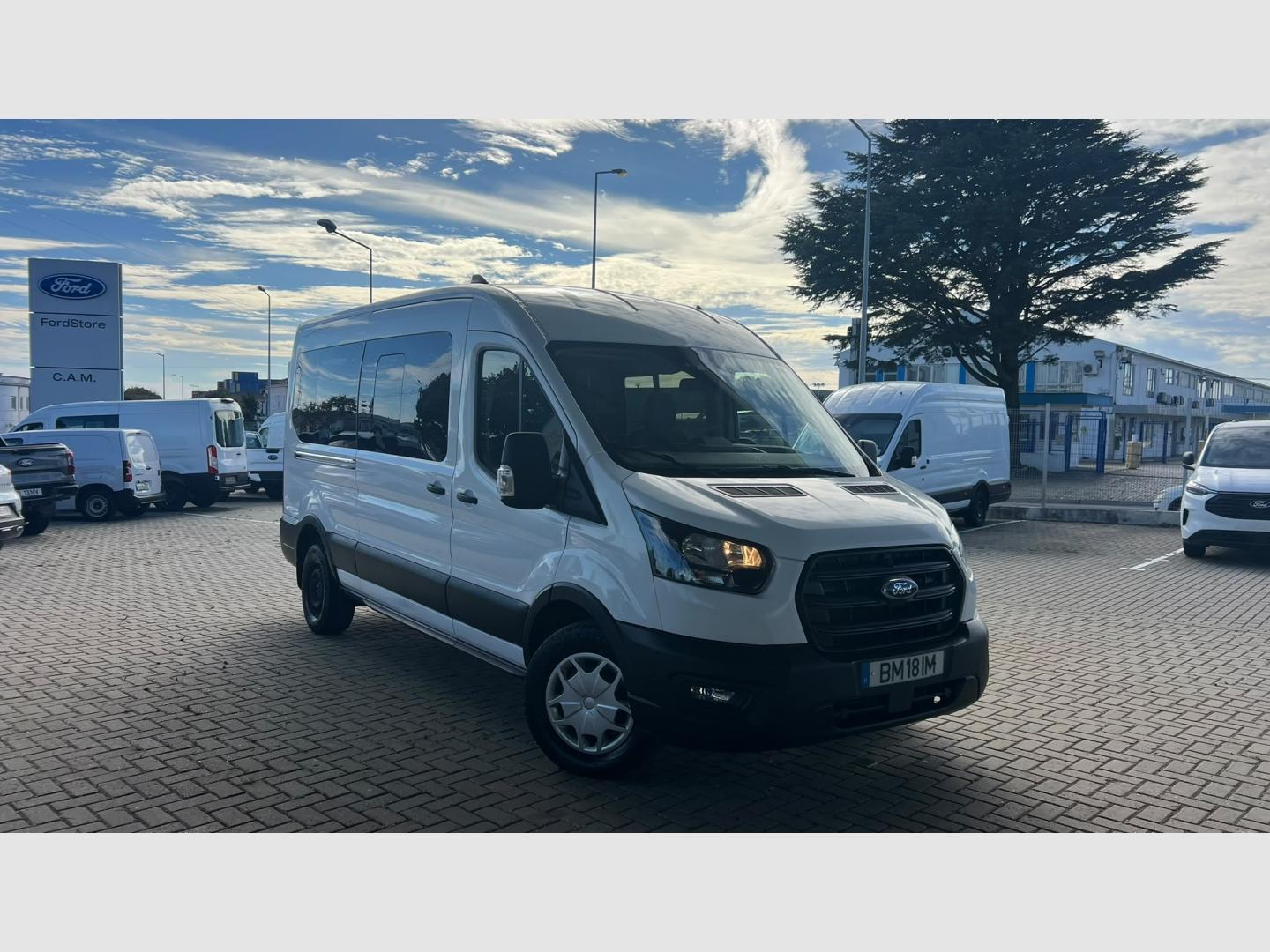Ford Transit 2.0 TDCi 130cv 350 L3H2 Trend