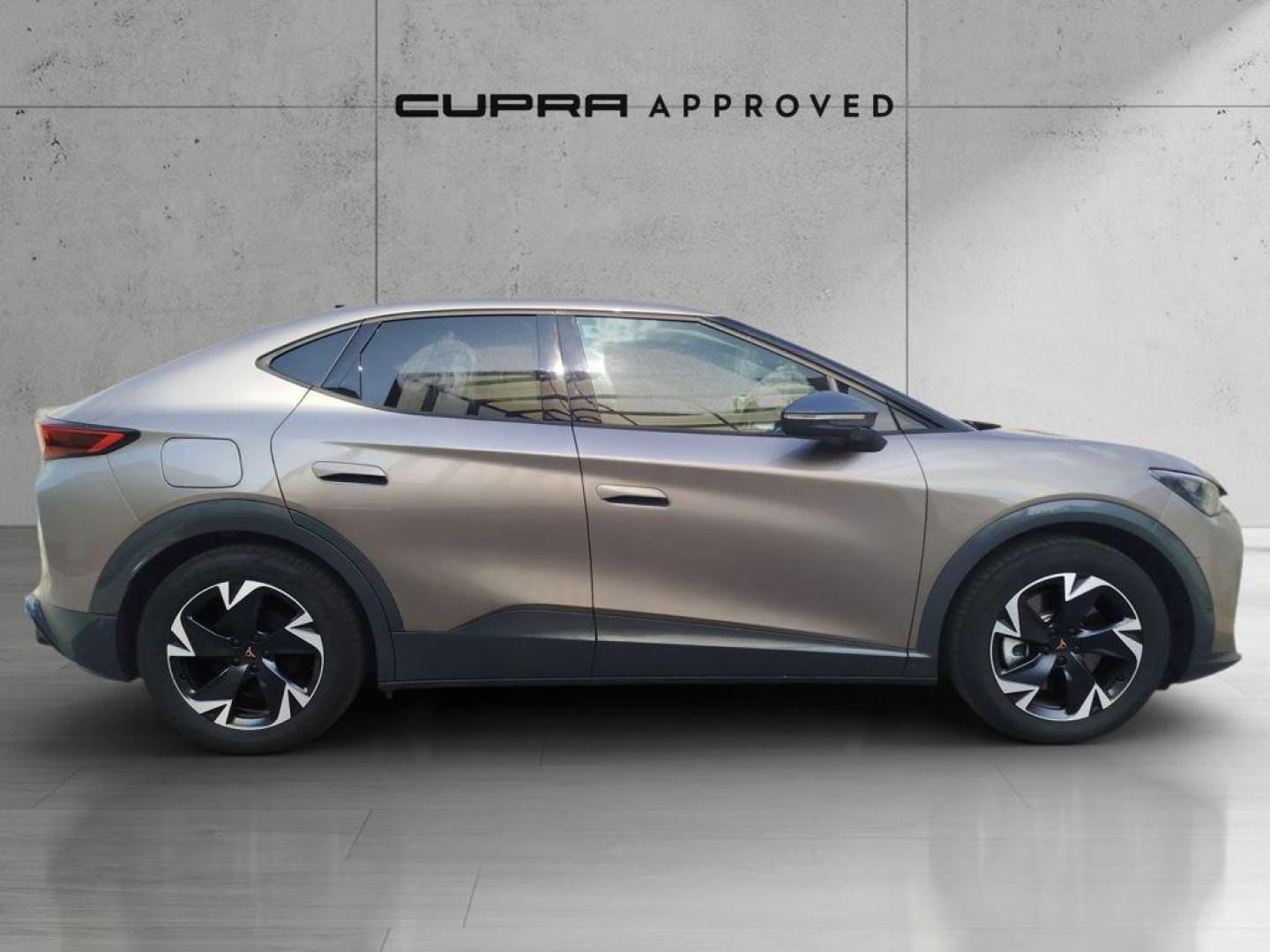 Cupra Tavascan 77kWh Endurance 210 kW (286 CV)