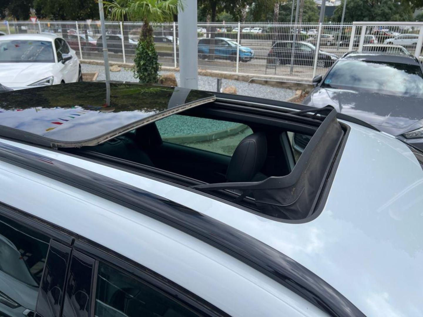 Cupra León SP 1.5 eTSI DSG 110 kW (150 CV)