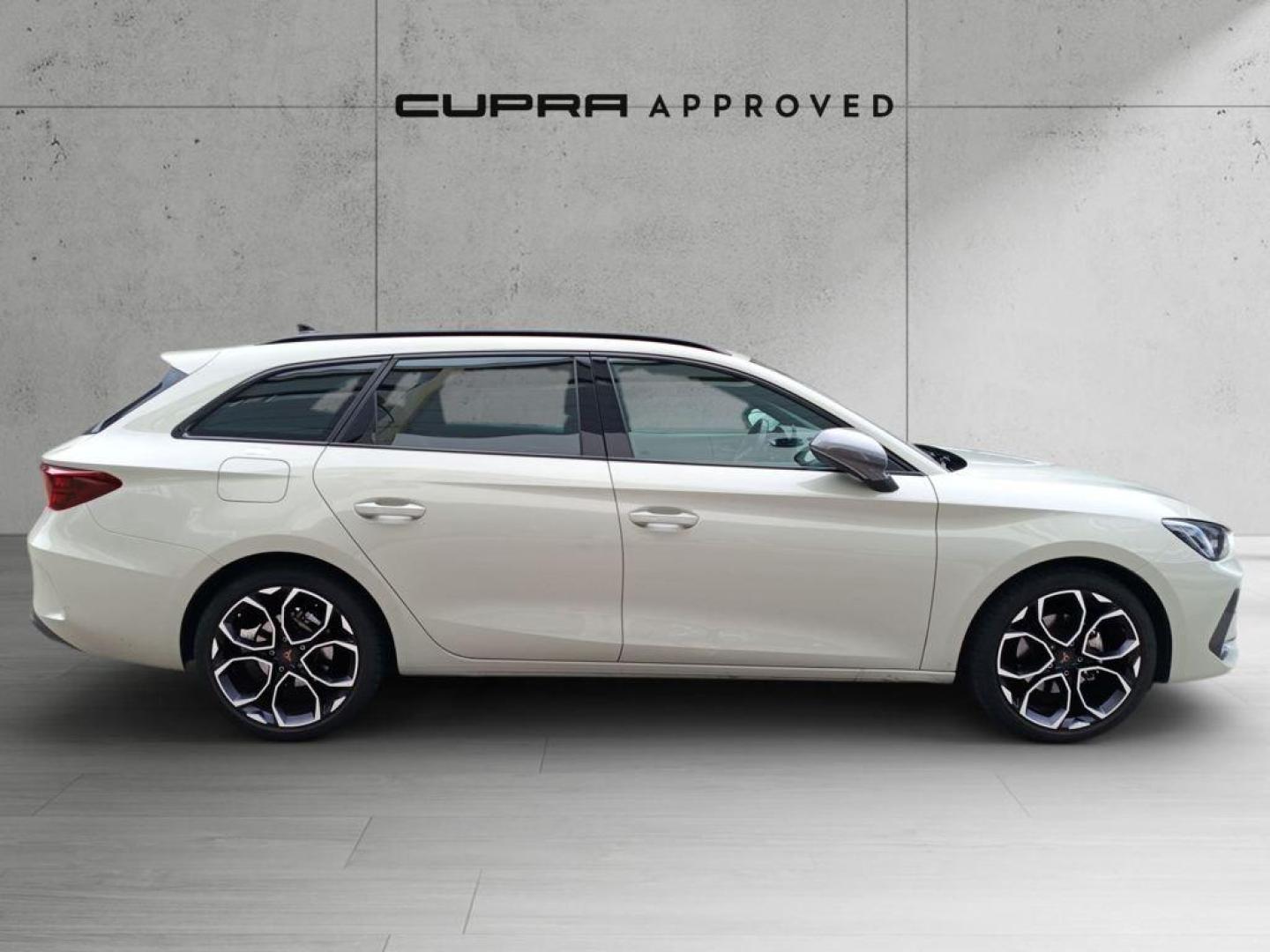 Cupra León SP 1.5 eTSI DSG 110 kW (150 CV)