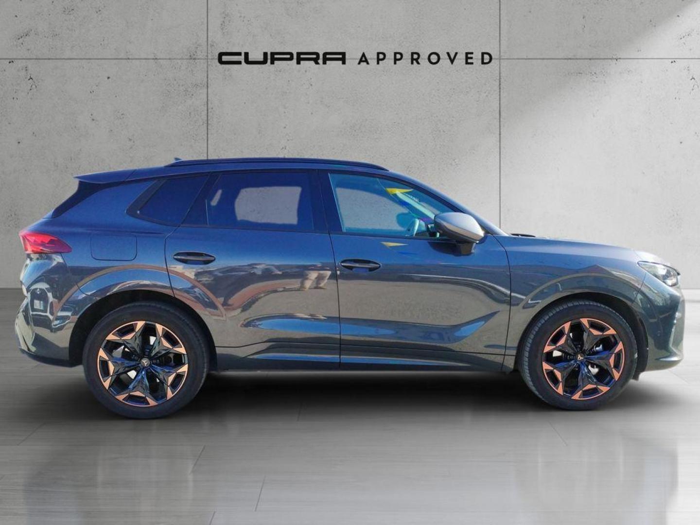 Cupra Terramar 1.5 eTSI DSG 110 kW (150 CV)