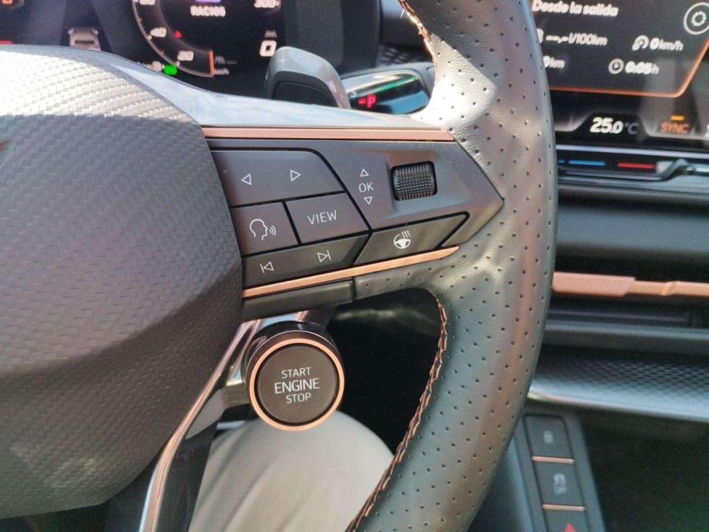 Cupra Terramar 1.5 eTSI DSG 110 kW (150 CV)