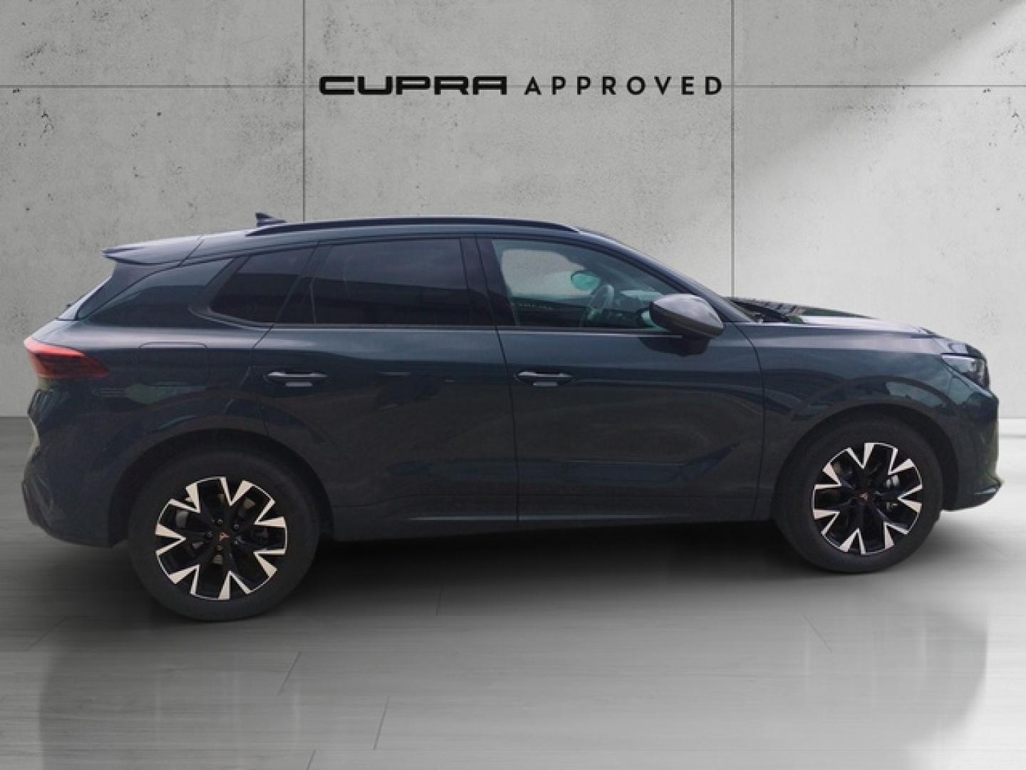 Cupra Terramar 1.5 TSI e-Hybrid DSG 150 kW (204 CV)