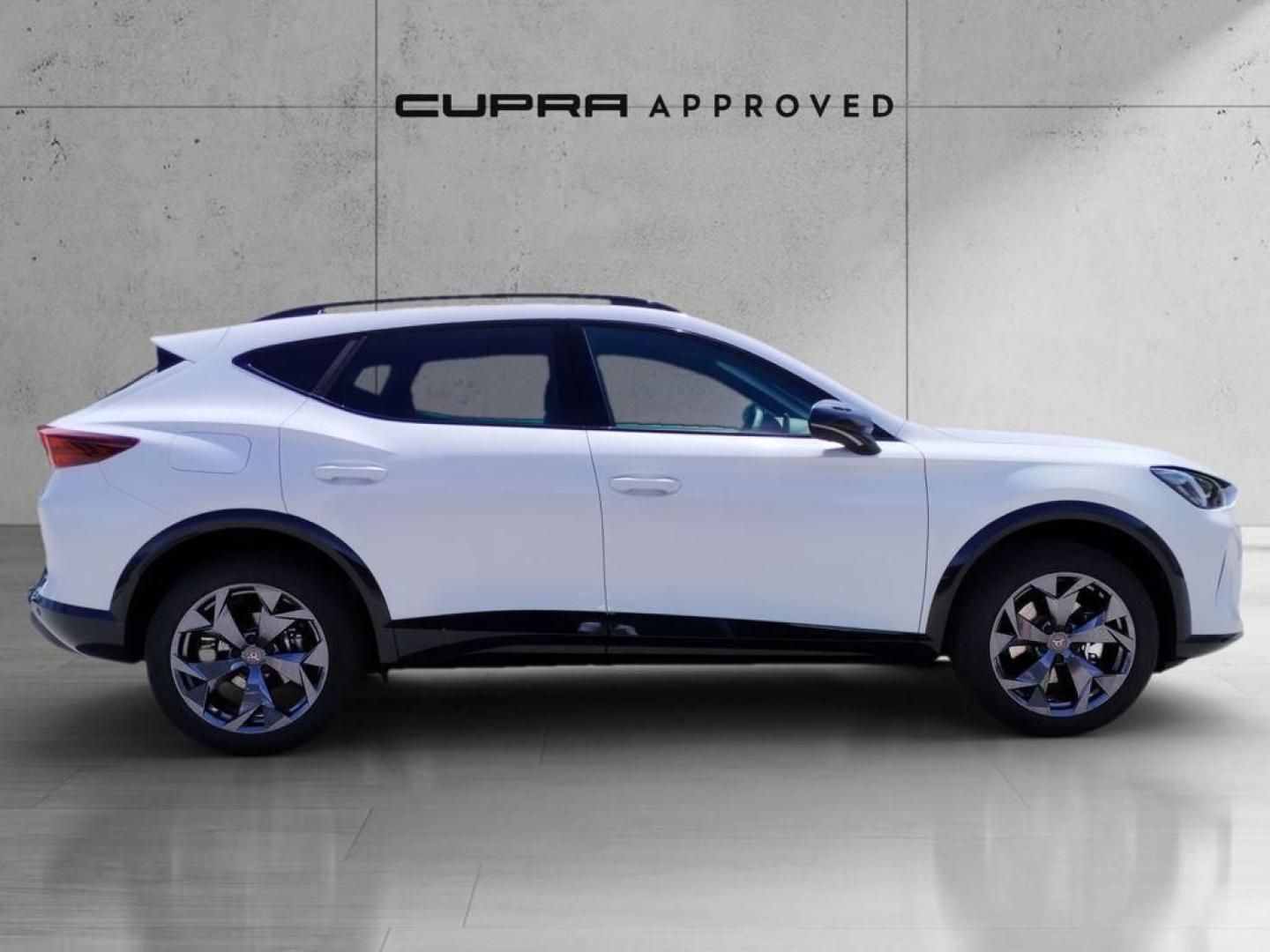 Cupra Formentor 1.5 TSI e-Hybrid DSG 150 kW (204 CV)