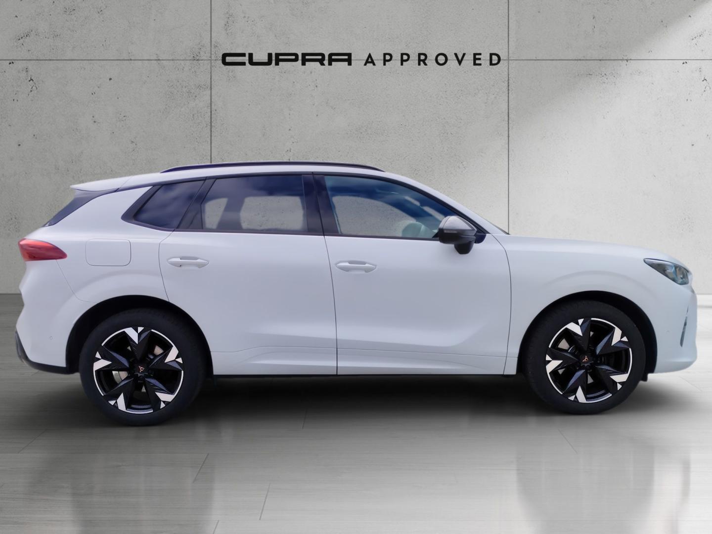 Cupra Terramar 1.5 TSI e-Hybrid VZ DSG 200 kW (272 CV)