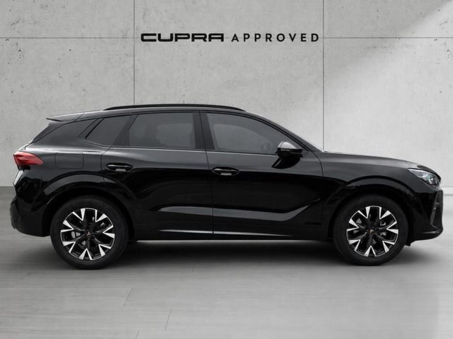 Cupra Terramar 1.5 eTSI DSG 110 kW (150 CV)