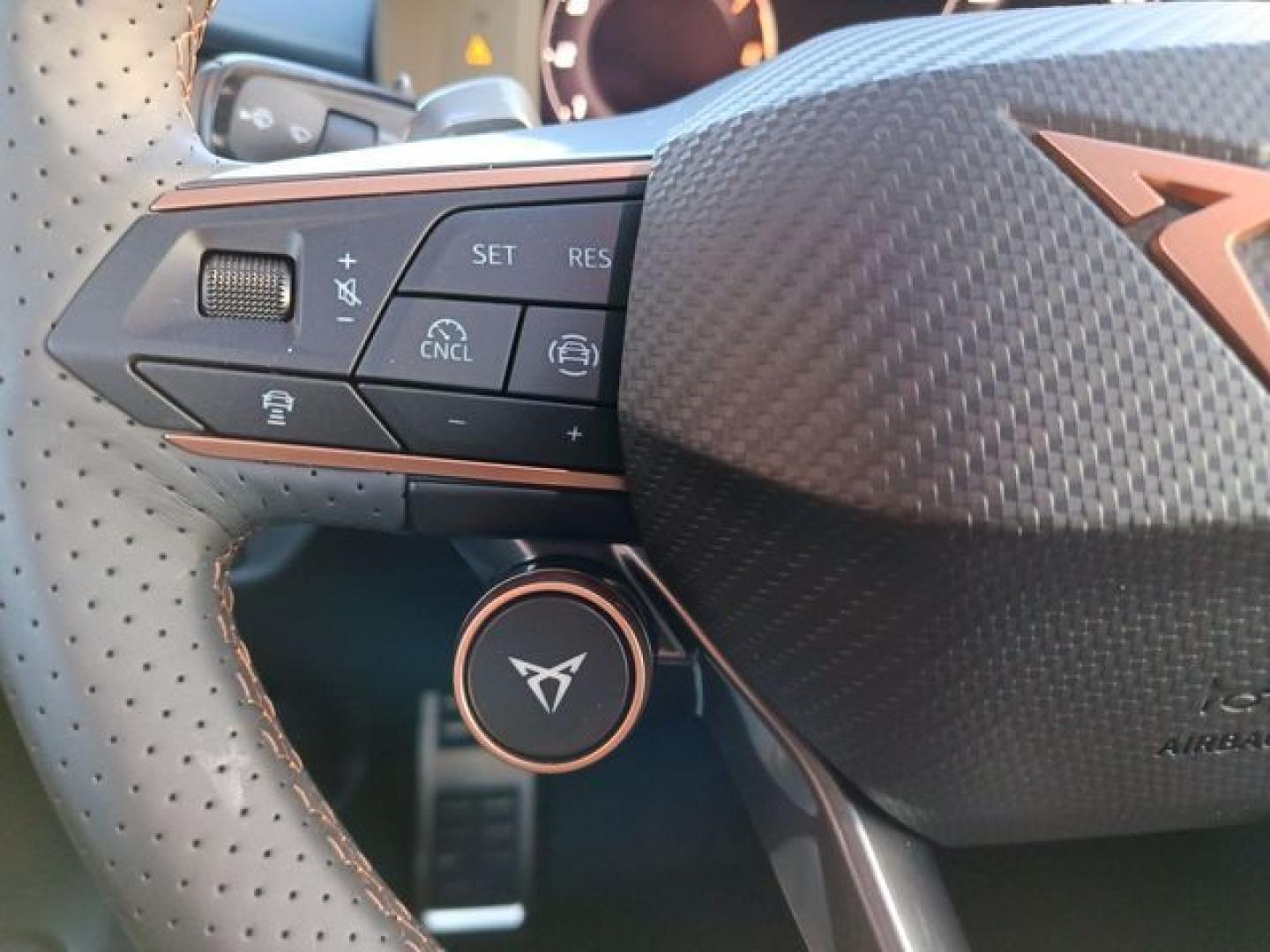 Cupra Terramar 1.5 eTSI DSG 110 kW (150 CV)