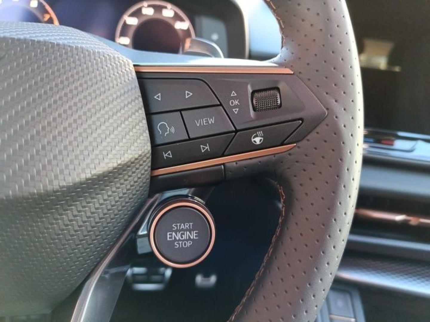 Cupra Terramar 1.5 eTSI DSG 110 kW (150 CV)