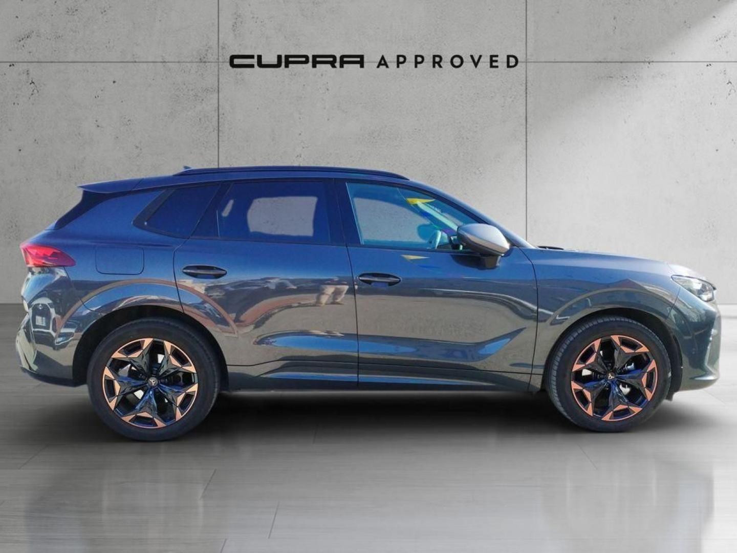 Cupra Terramar 1.5 eTSI DSG 110 kW (150 CV)