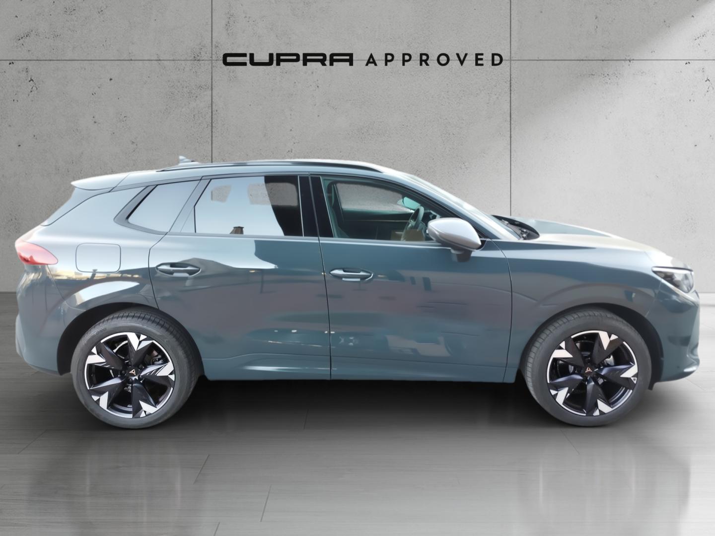 Cupra Terramar 1.5 TSI e-Hybrid DSG 150 kW (204 CV)