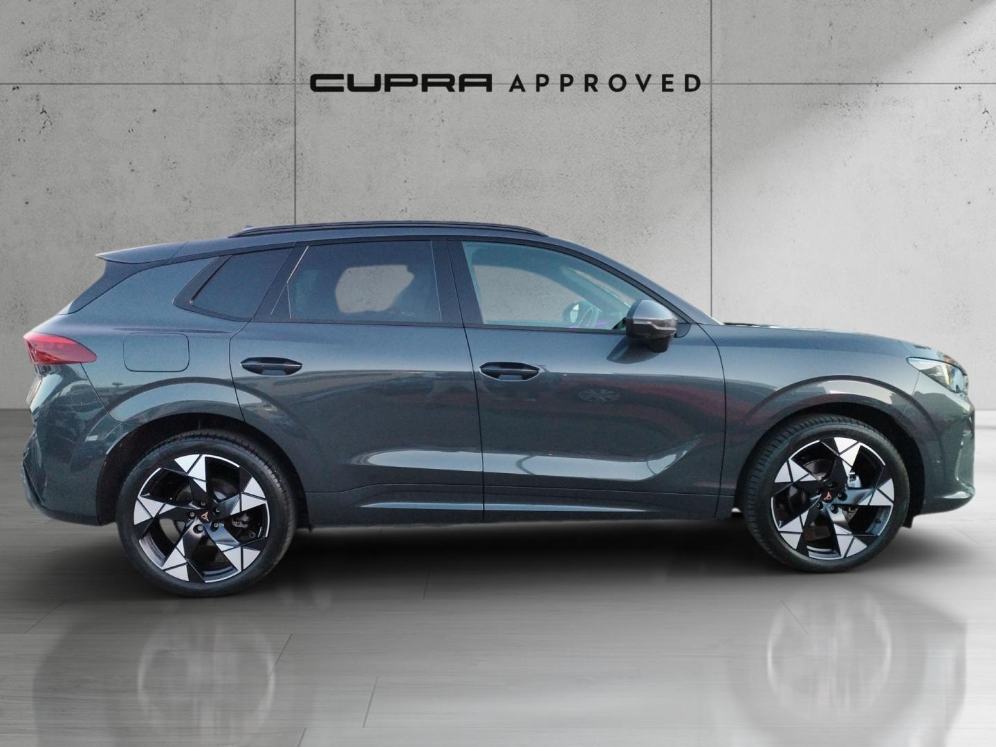 Cupra Terramar 1.5 eTSI DSG 110 kW (150 CV)