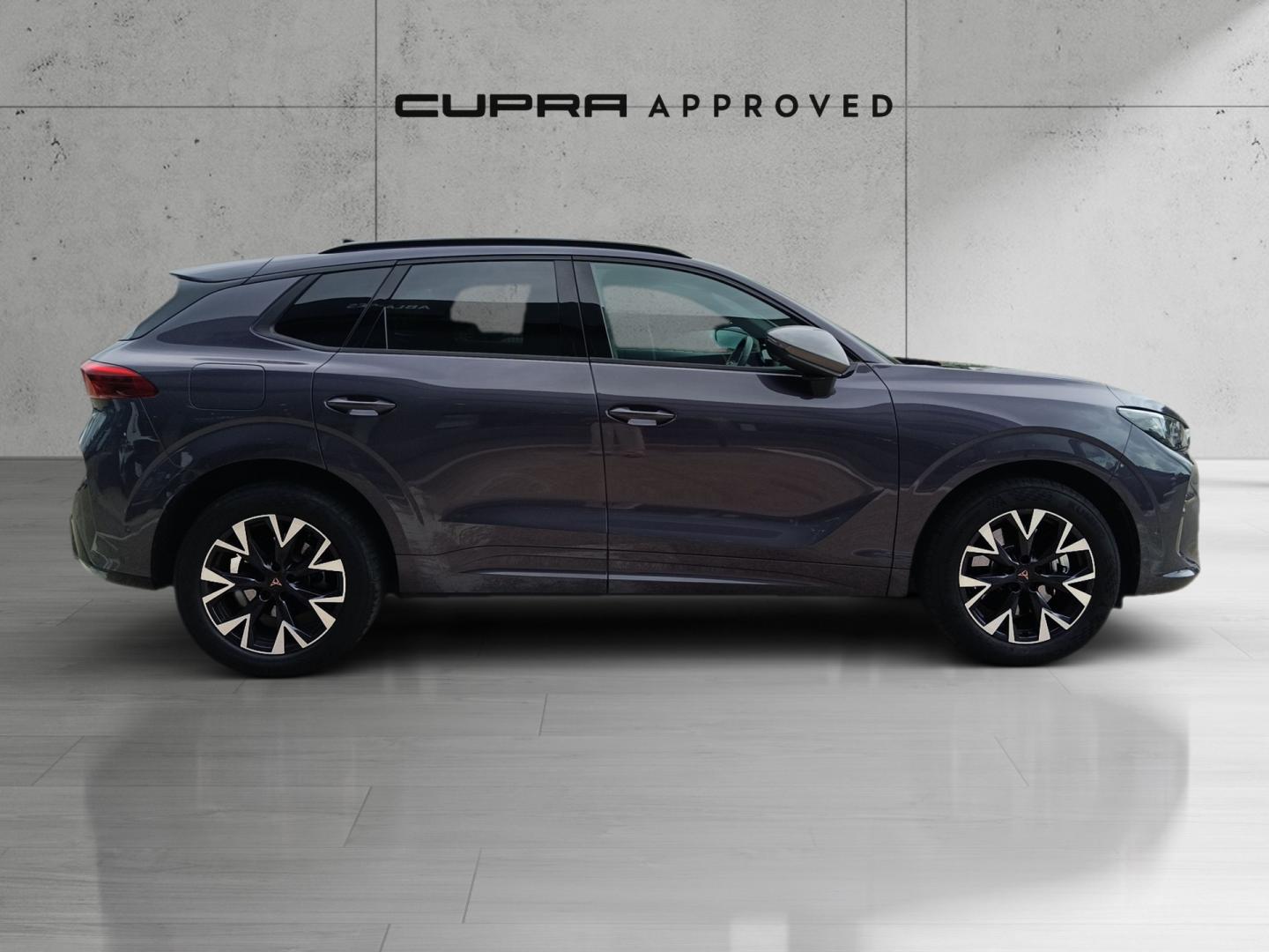 Cupra Terramar 1.5 TSI e-Hybrid DSG 150 kW (204 CV)