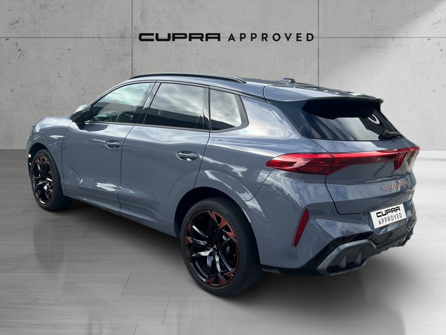Cupra Terramar 2.0 TSI VZ 4 Drive DSG 195 kW (265 CV)