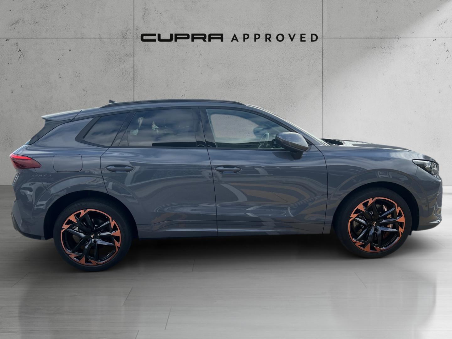 Cupra Terramar 2.0 TSI VZ 4 Drive DSG 195 kW (265 CV)