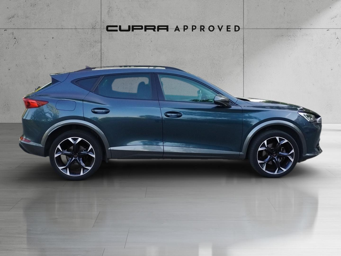 Cupra Formentor 2.0 TDI 4Drive DSG 110 kW (150 CV)