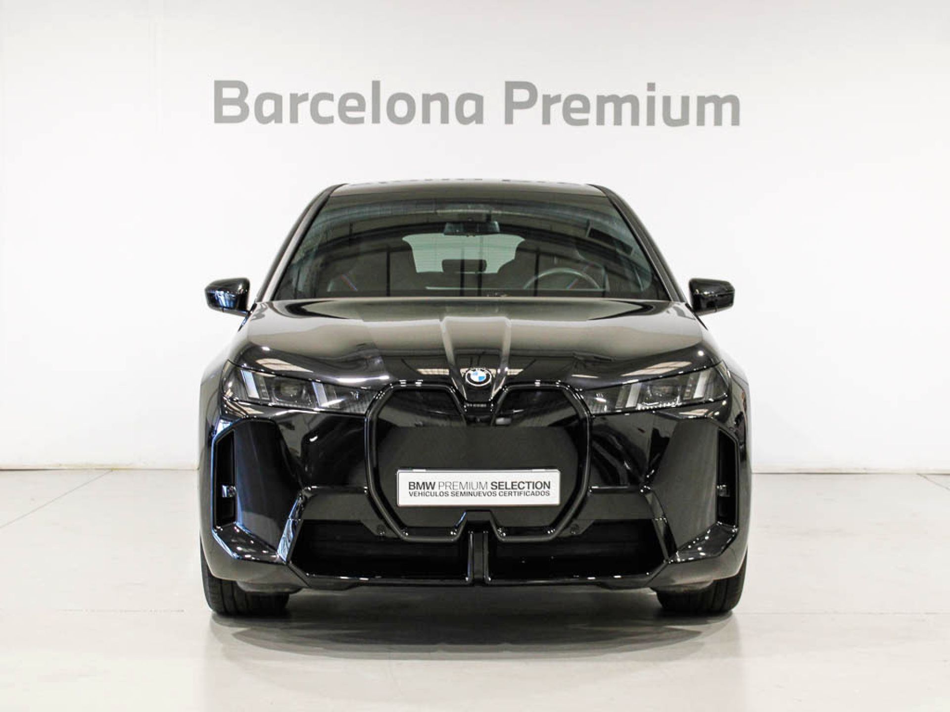 BMW iX - 2