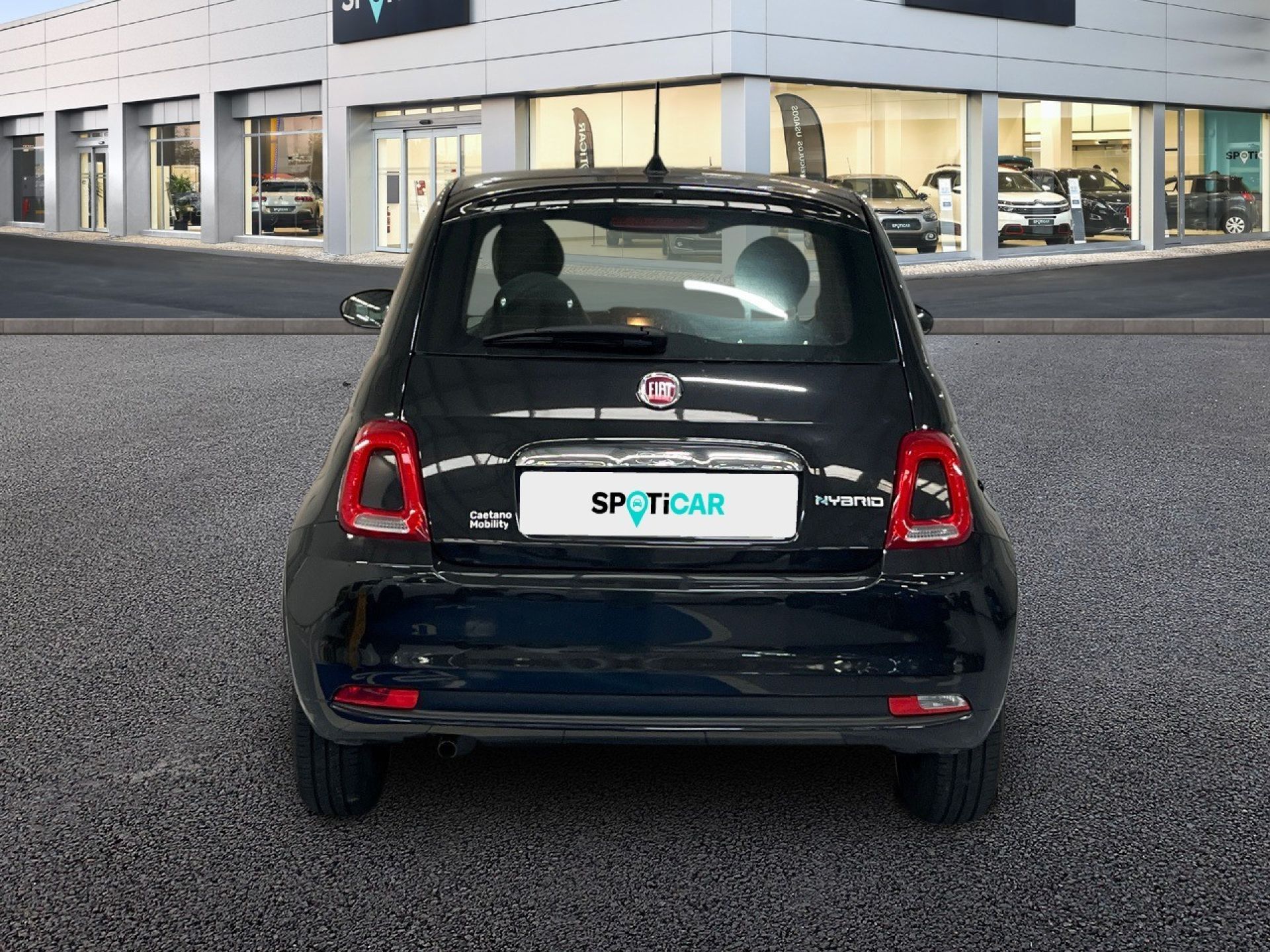 Fiat 500 - 6