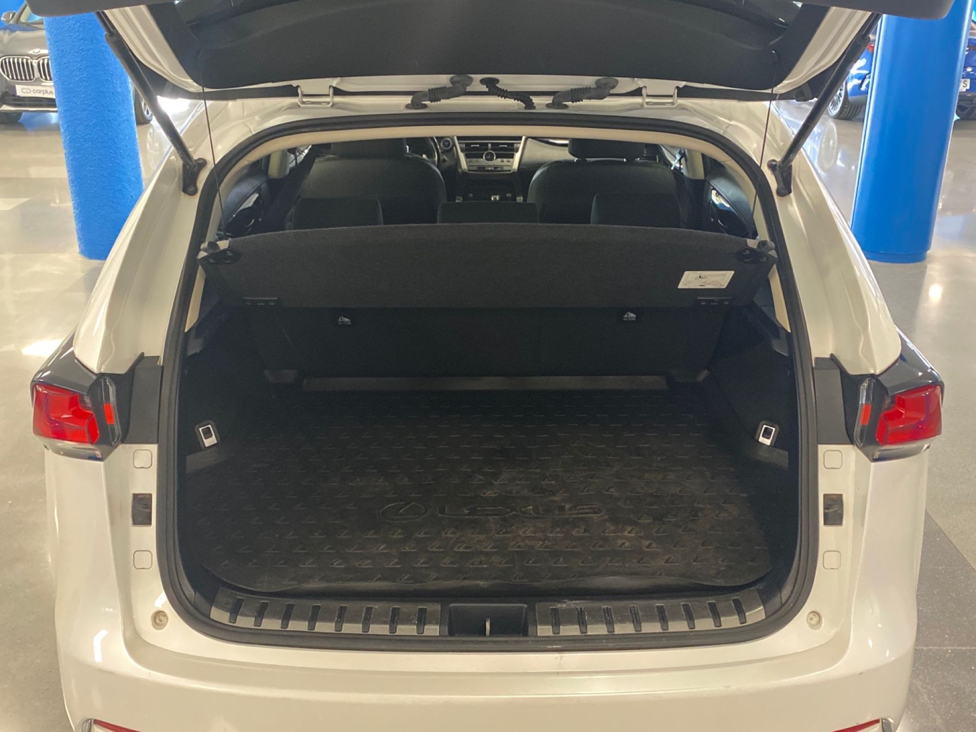 LEXUS NX - 10