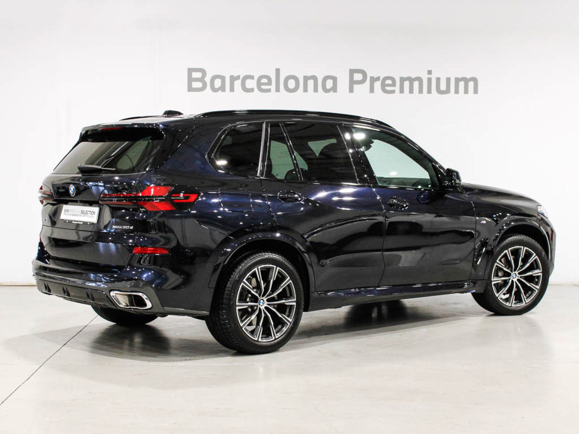 BMW X5 - 4