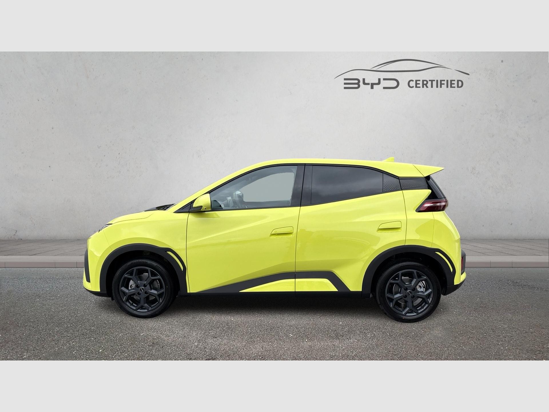 BYD Dolphin Surf - 3