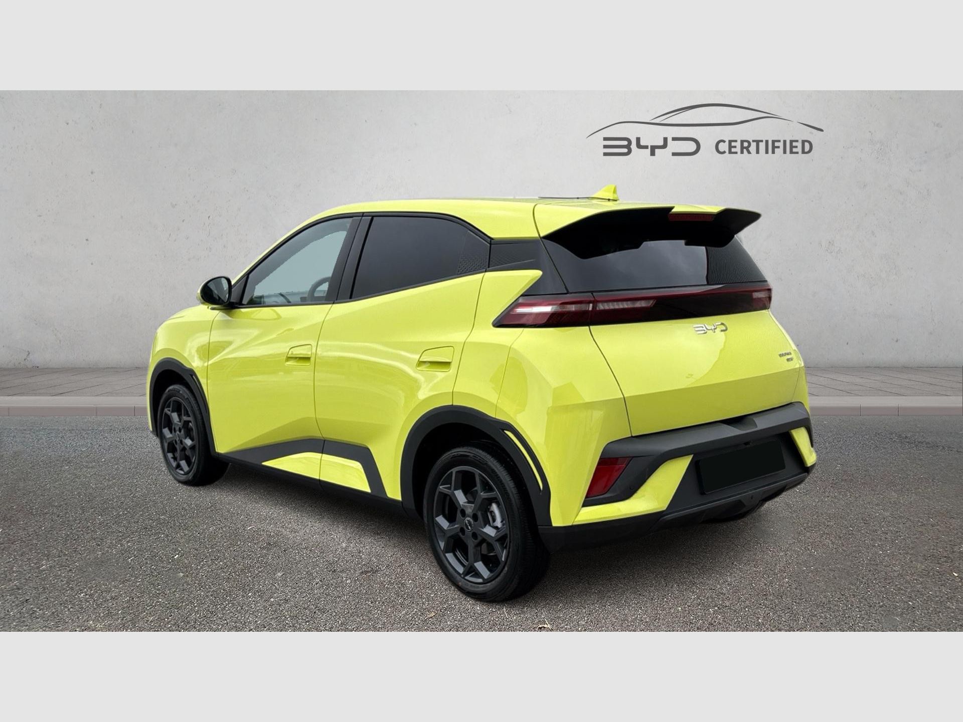 BYD Dolphin Surf - 4